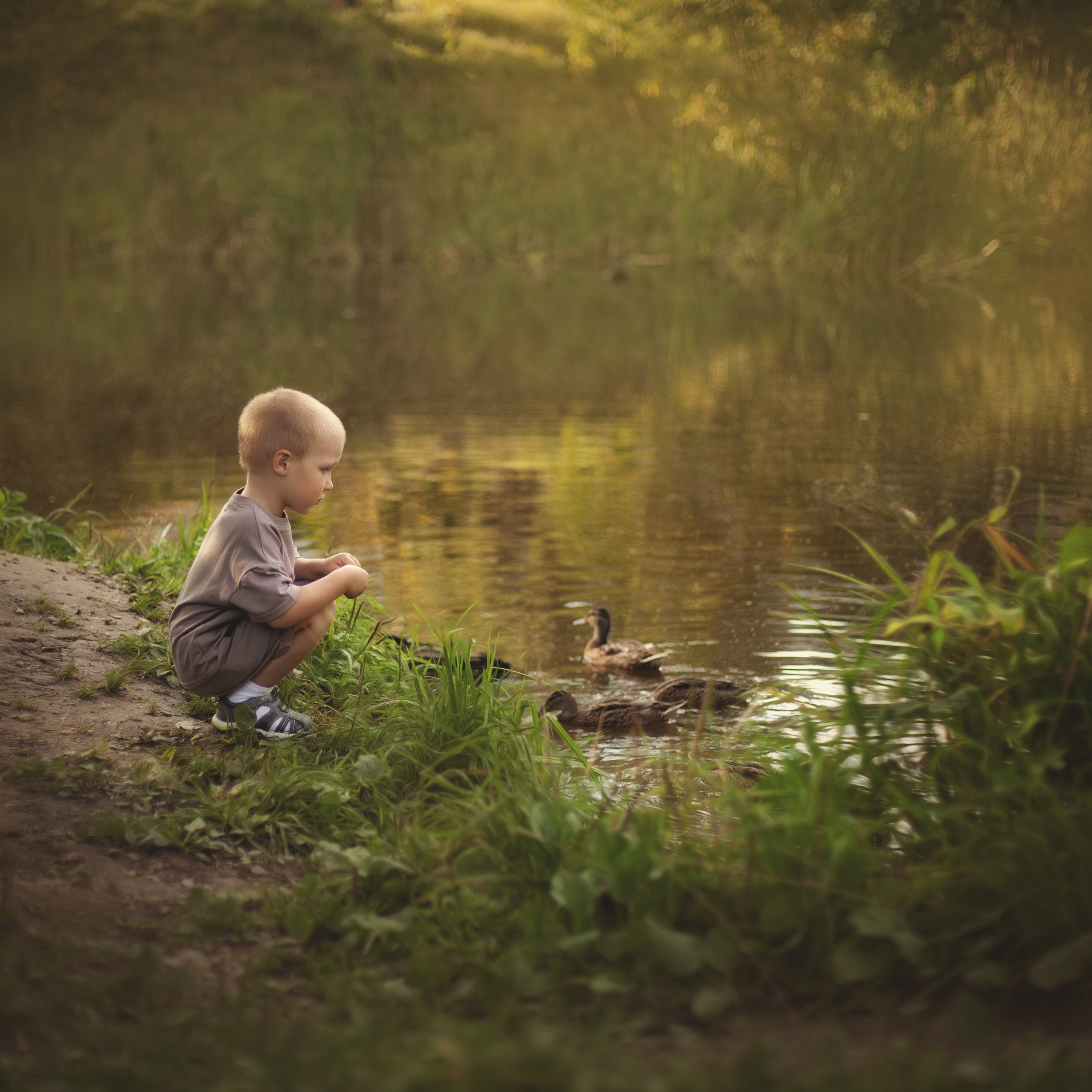 Отзывы. Детский и семейный фотограф в Тарусе и Серпухове Галина Хлюстова