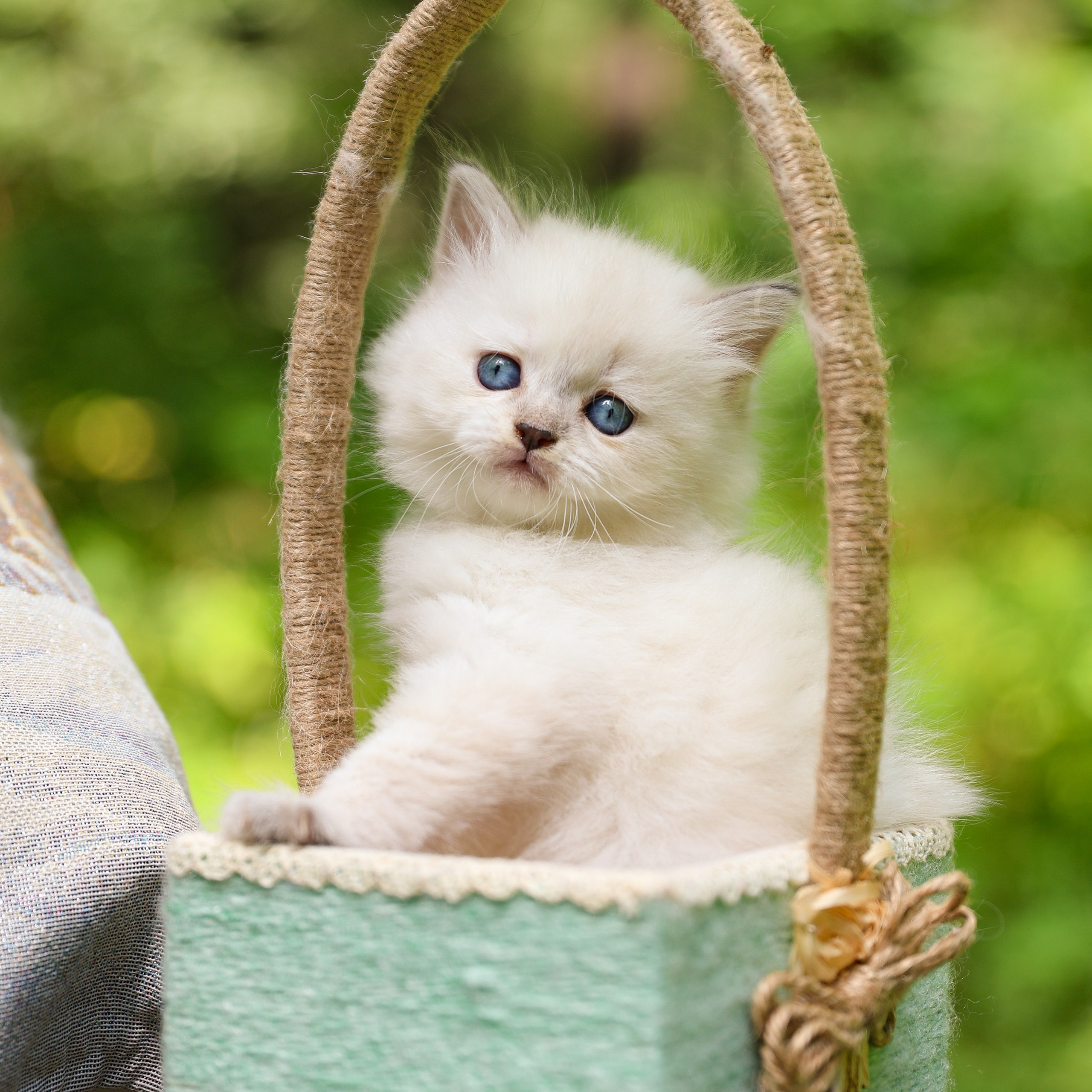 Отзывы. Семейный фотограф Елизавета Лопотухина город Москва