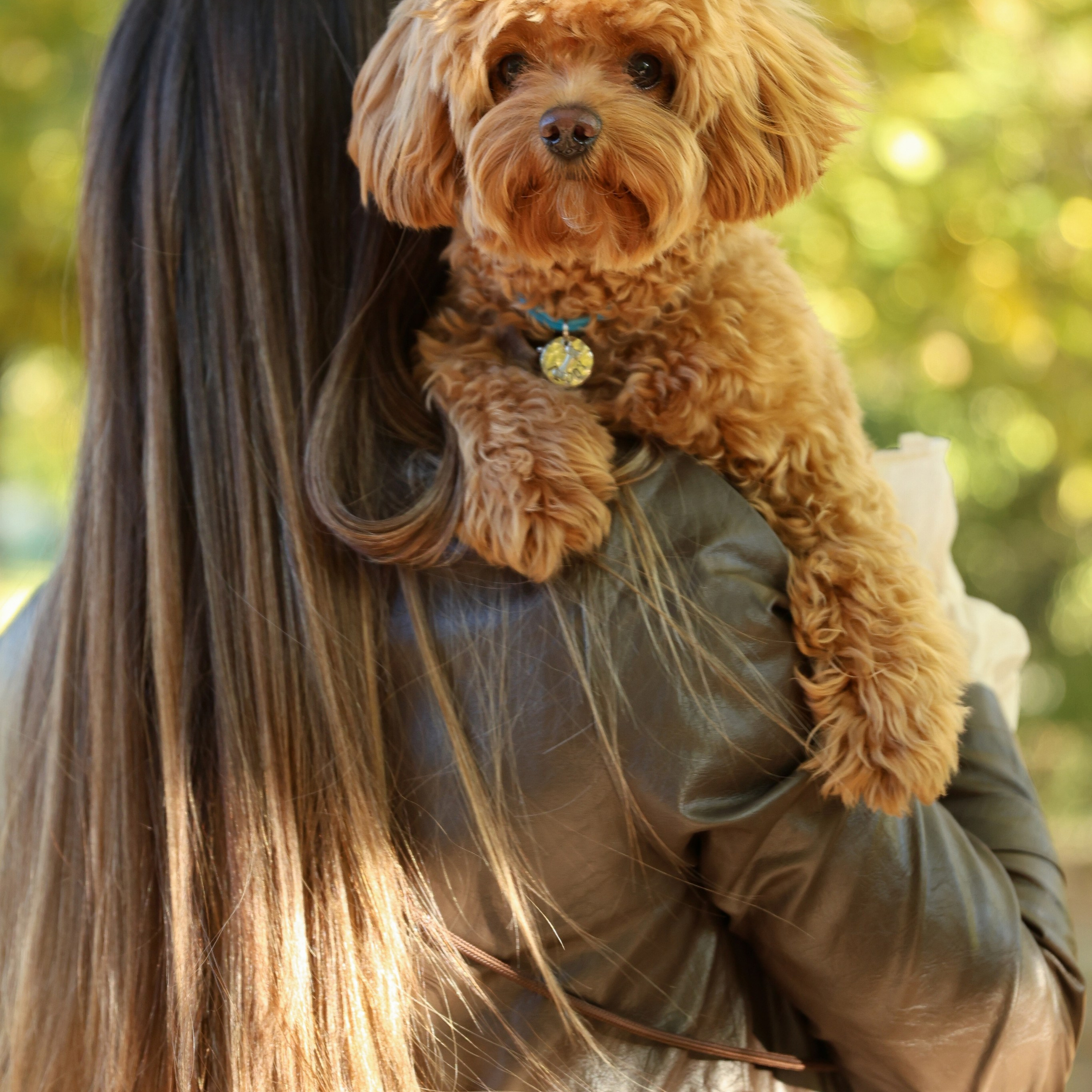 Осенняя фотосессия. Семейный фотограф Елизавета Лопотухина город Москва