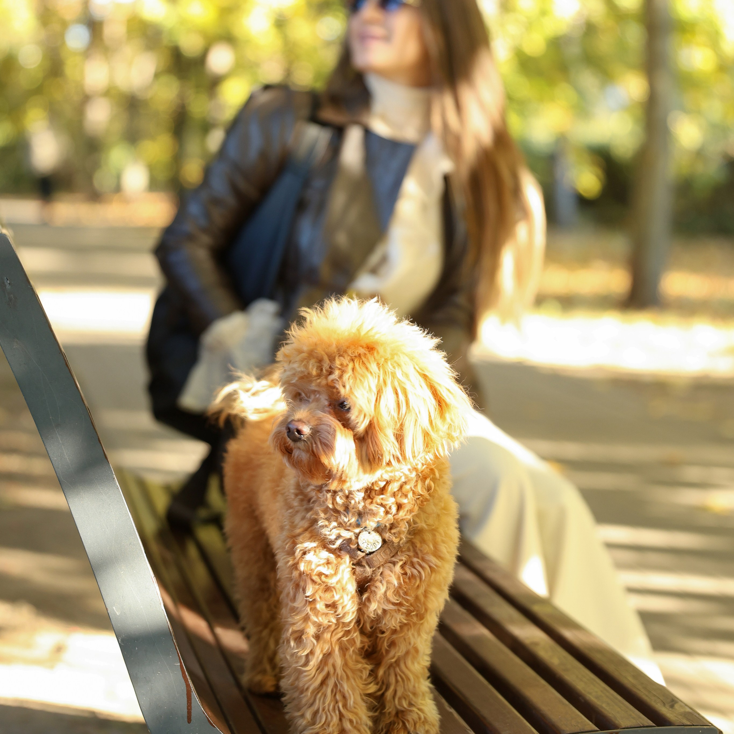 Осенняя фотосессия. Семейный фотограф Елизавета Лопотухина город Москва