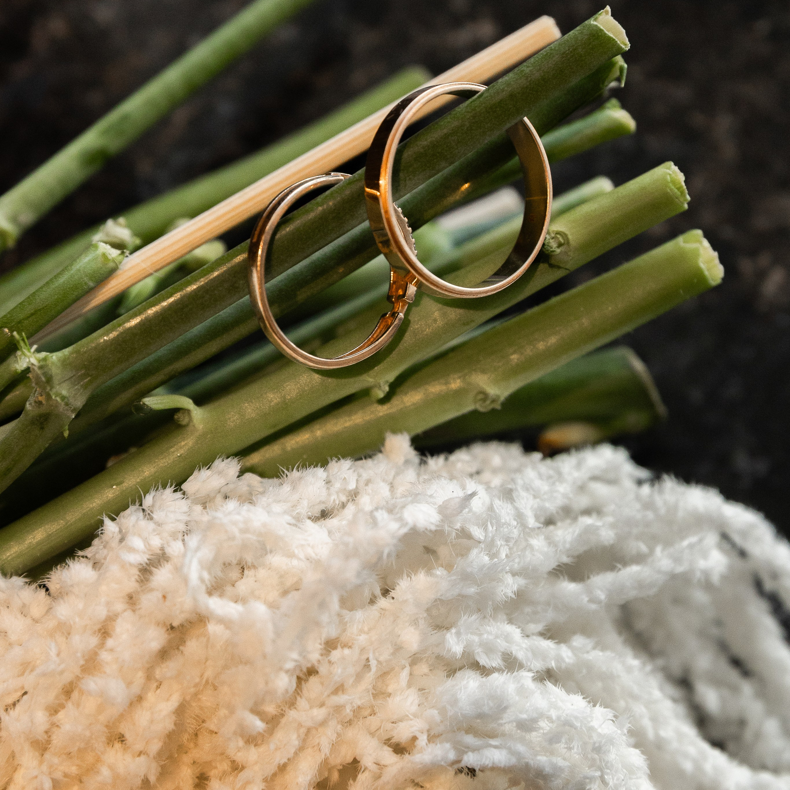 Александр & Елизавета