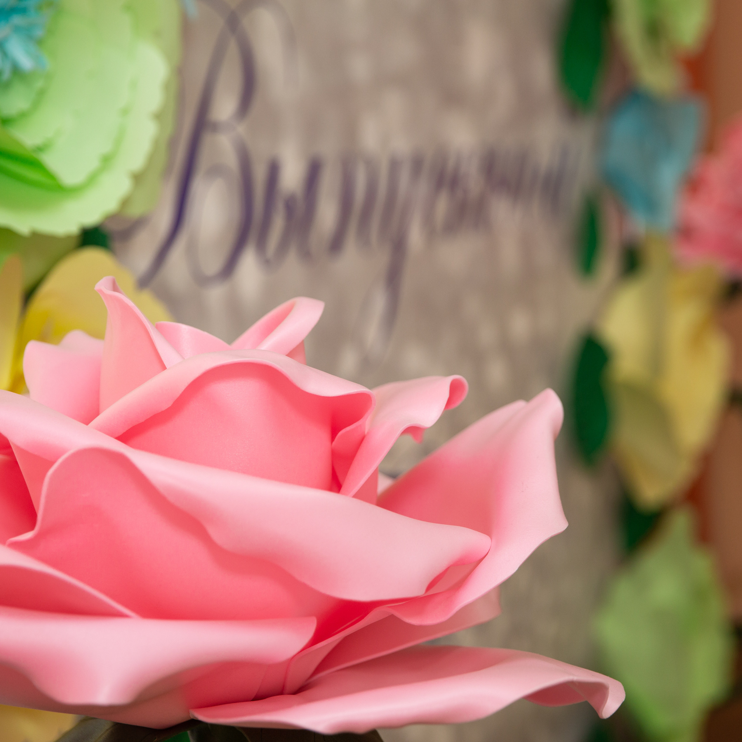 Отзывы. Фотограф Дарья Нагайцева