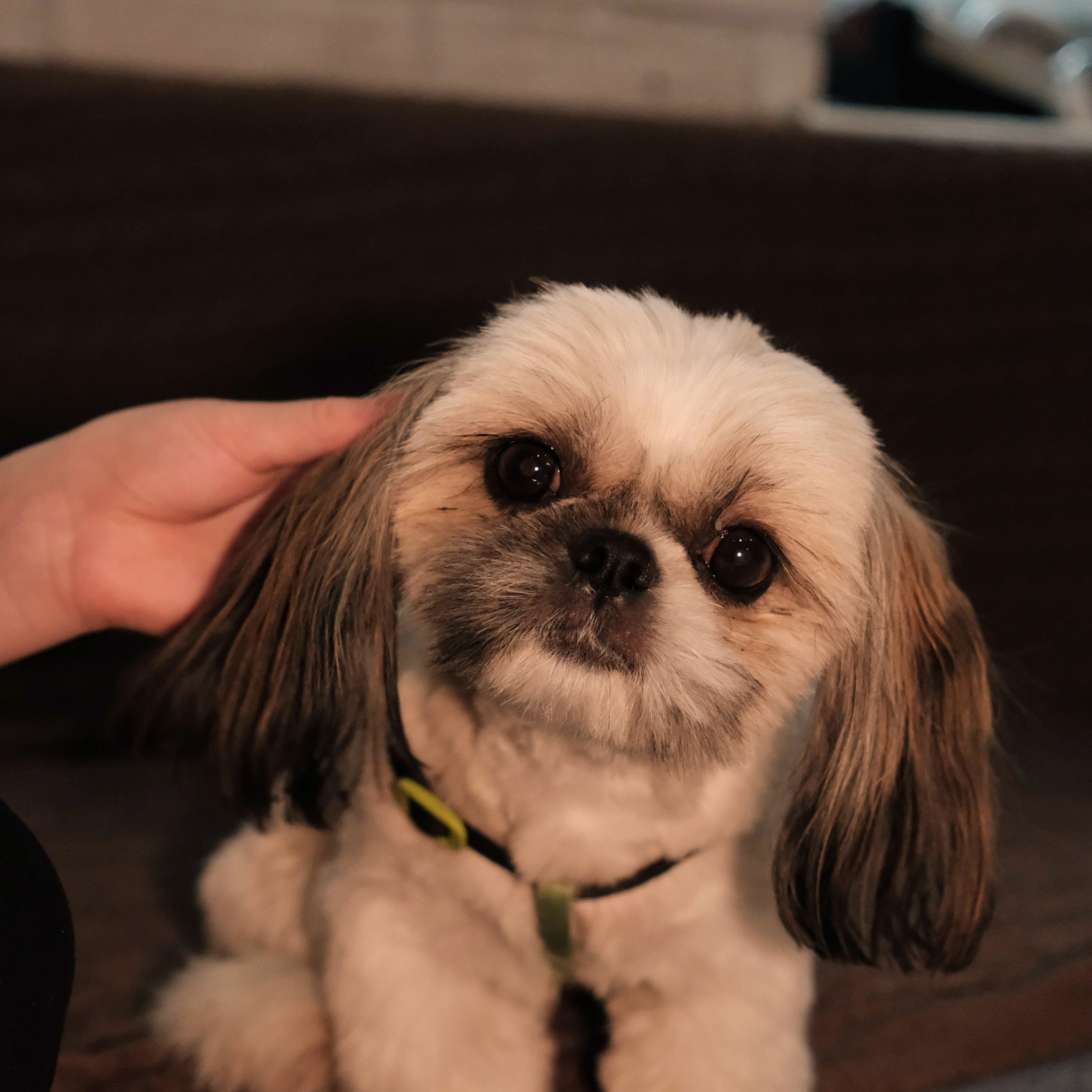 ОТЗЫВЫ. Фотограф и видеограф Анна Жагорина