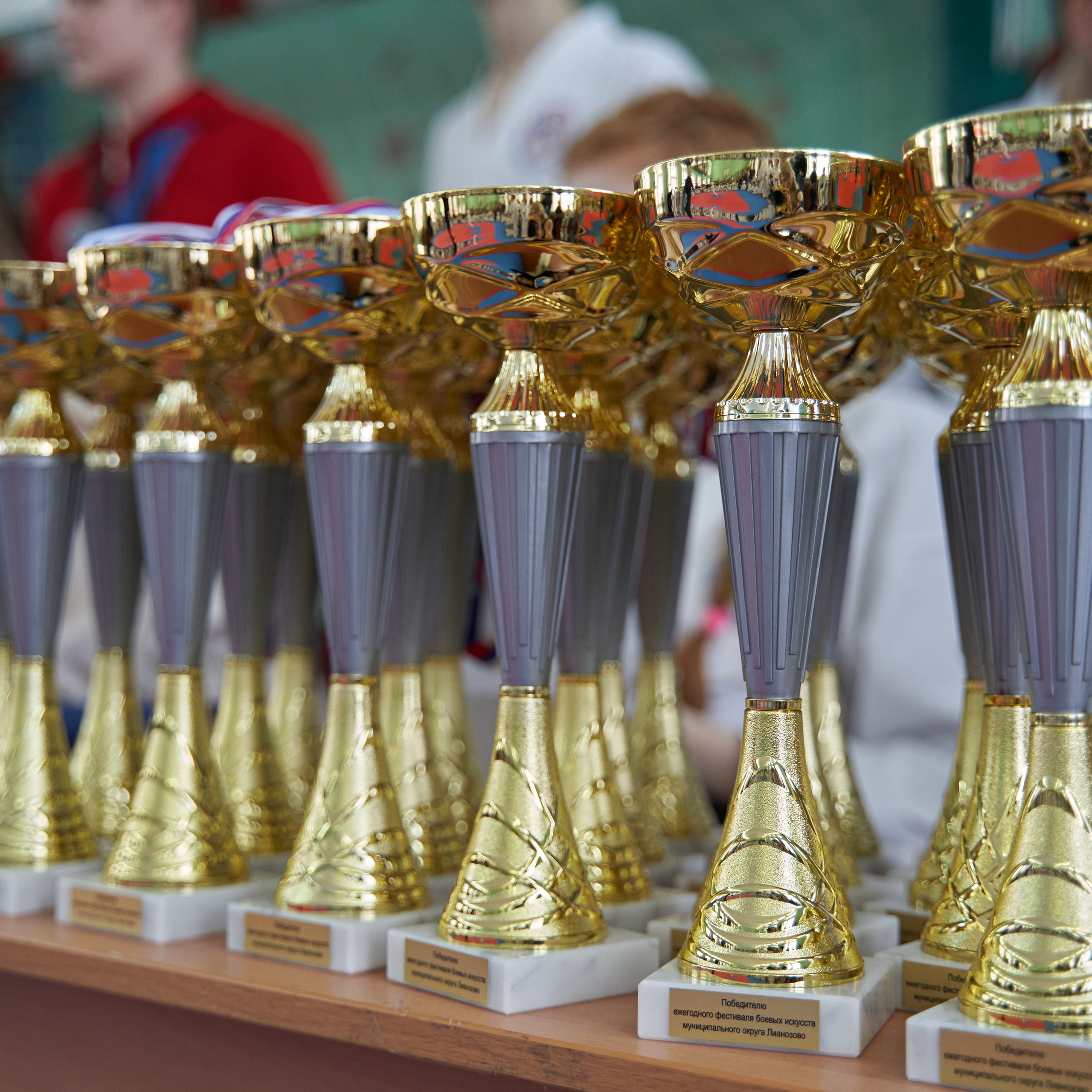 Фестиваль Восточных Единоборств 2023