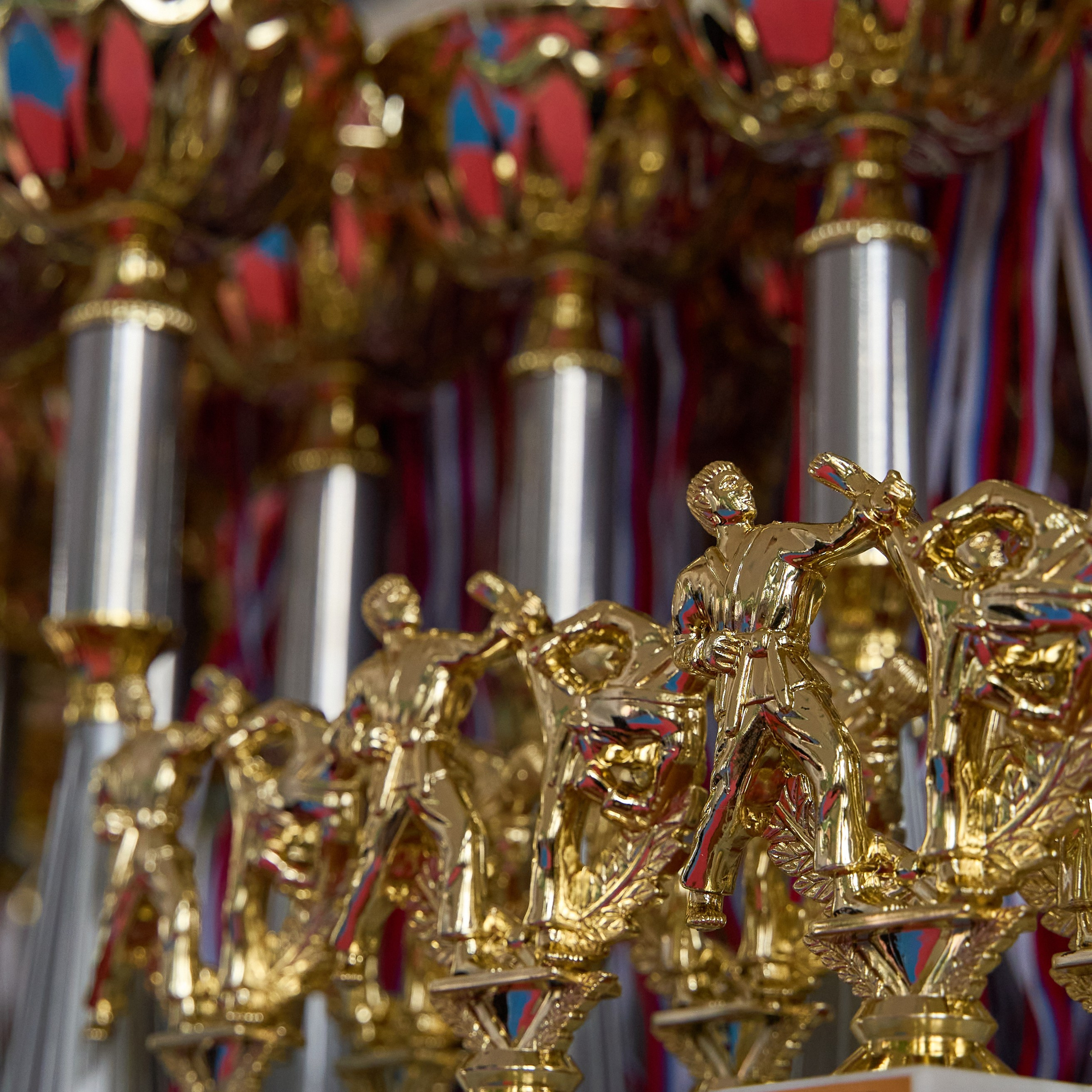 Фестиваль Восточных Единоборств 2024