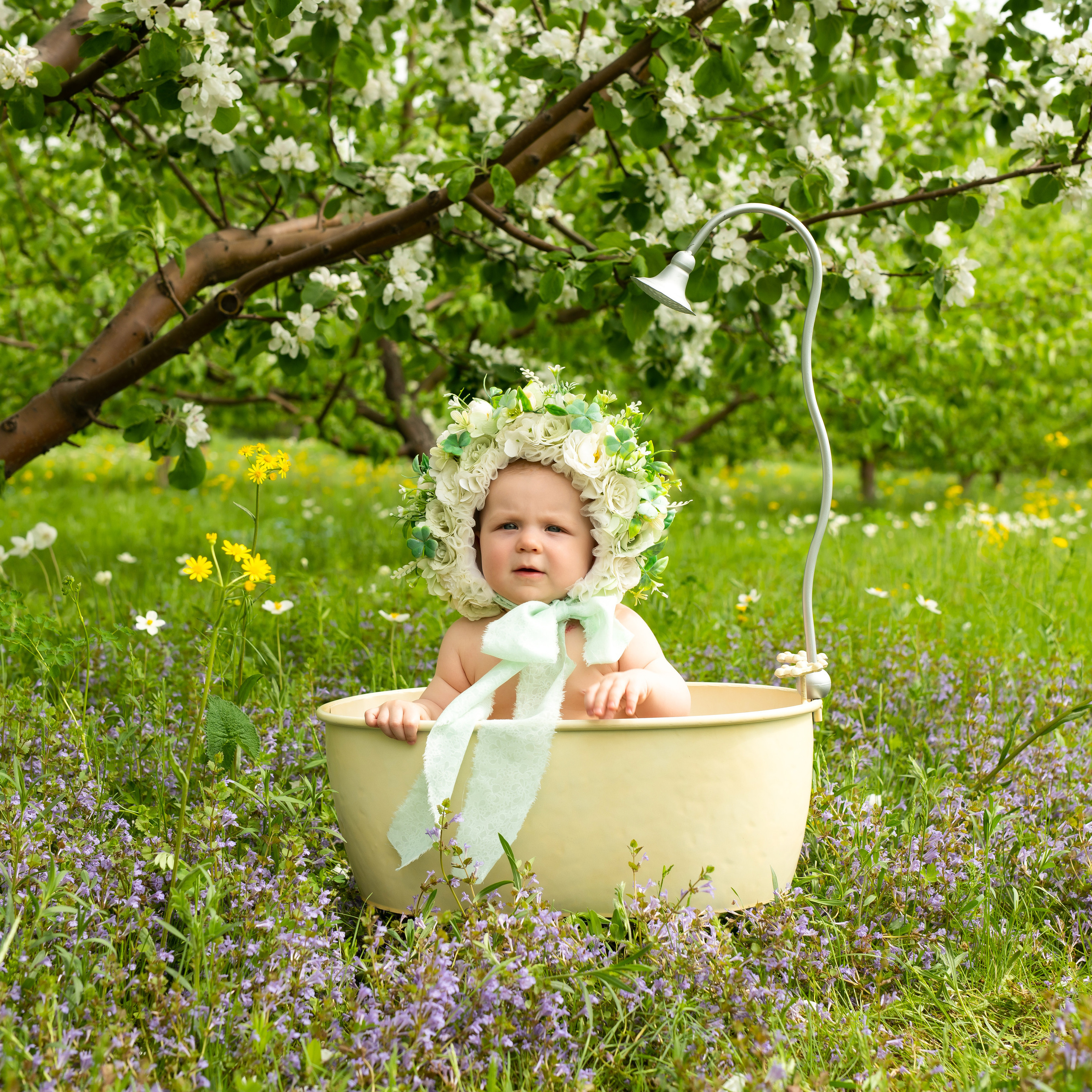 На природе. Главная