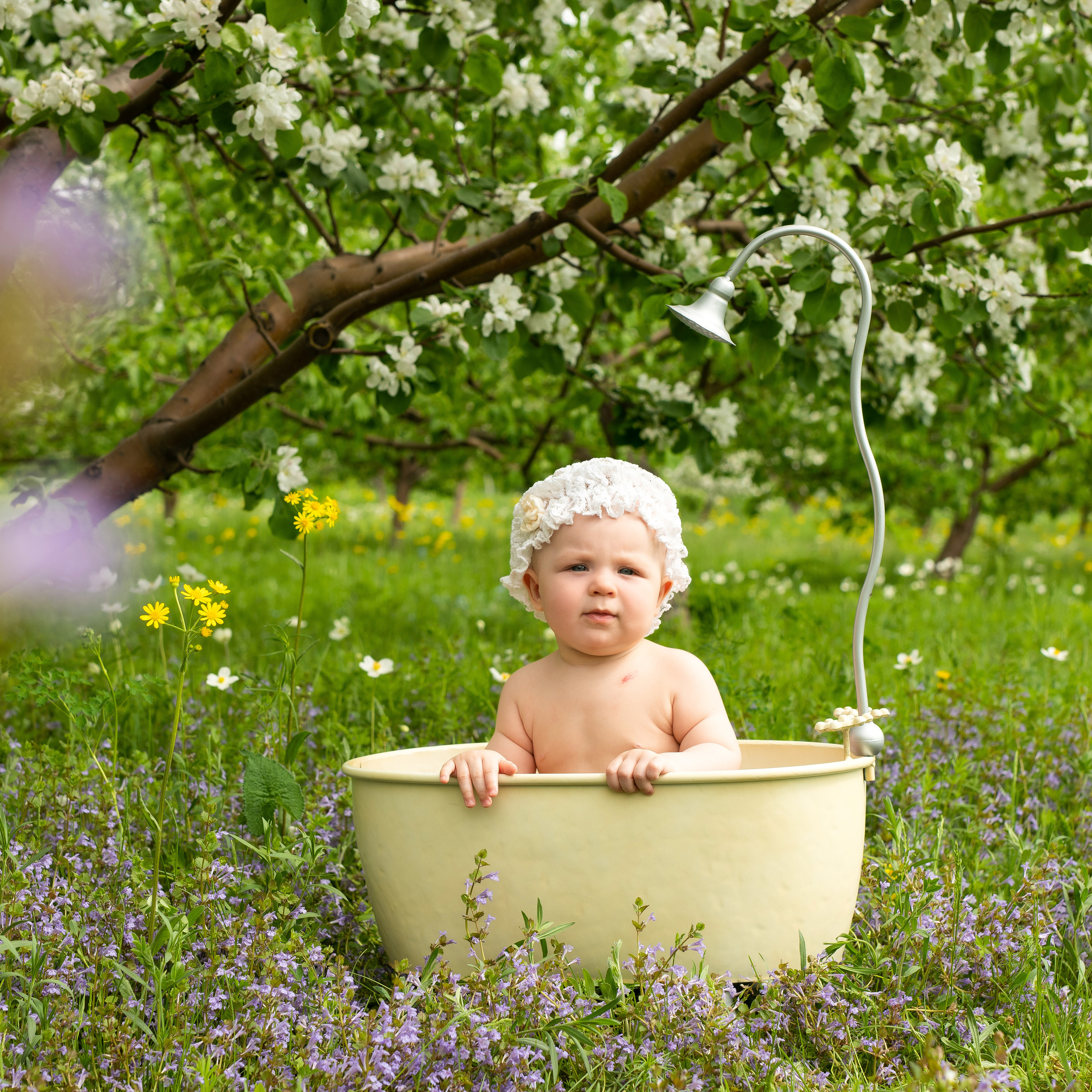 На природе. Главная