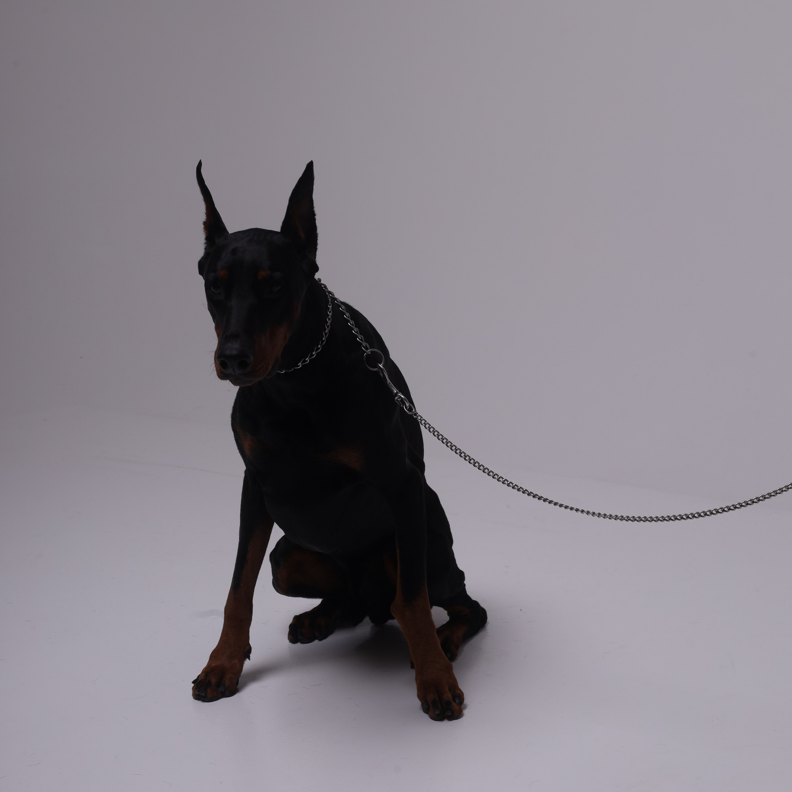 Отзывы обо мне. Женский фотограф в Санкт-Петербурге, Москве и весь мир Алёна Мамаева