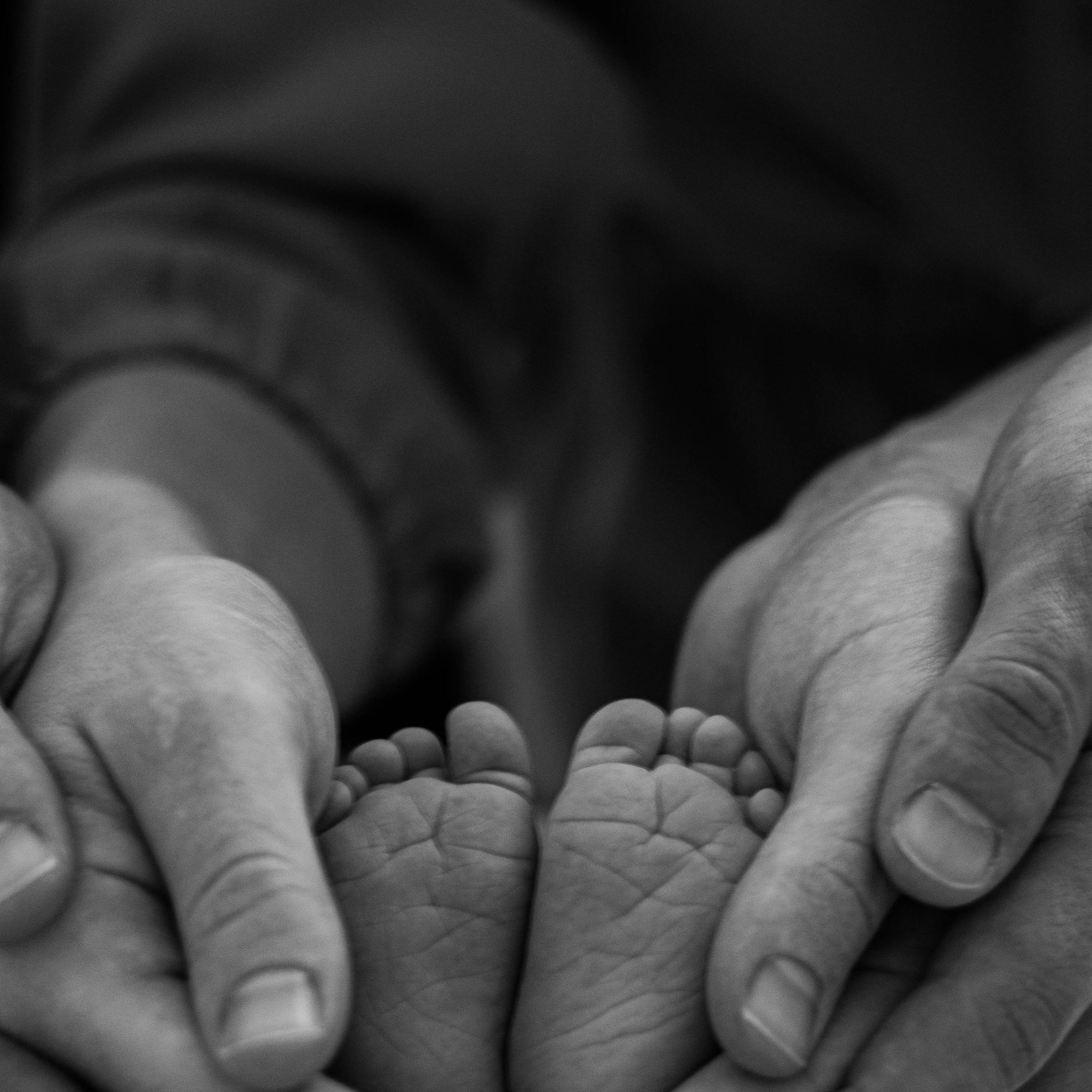 Семья Полины