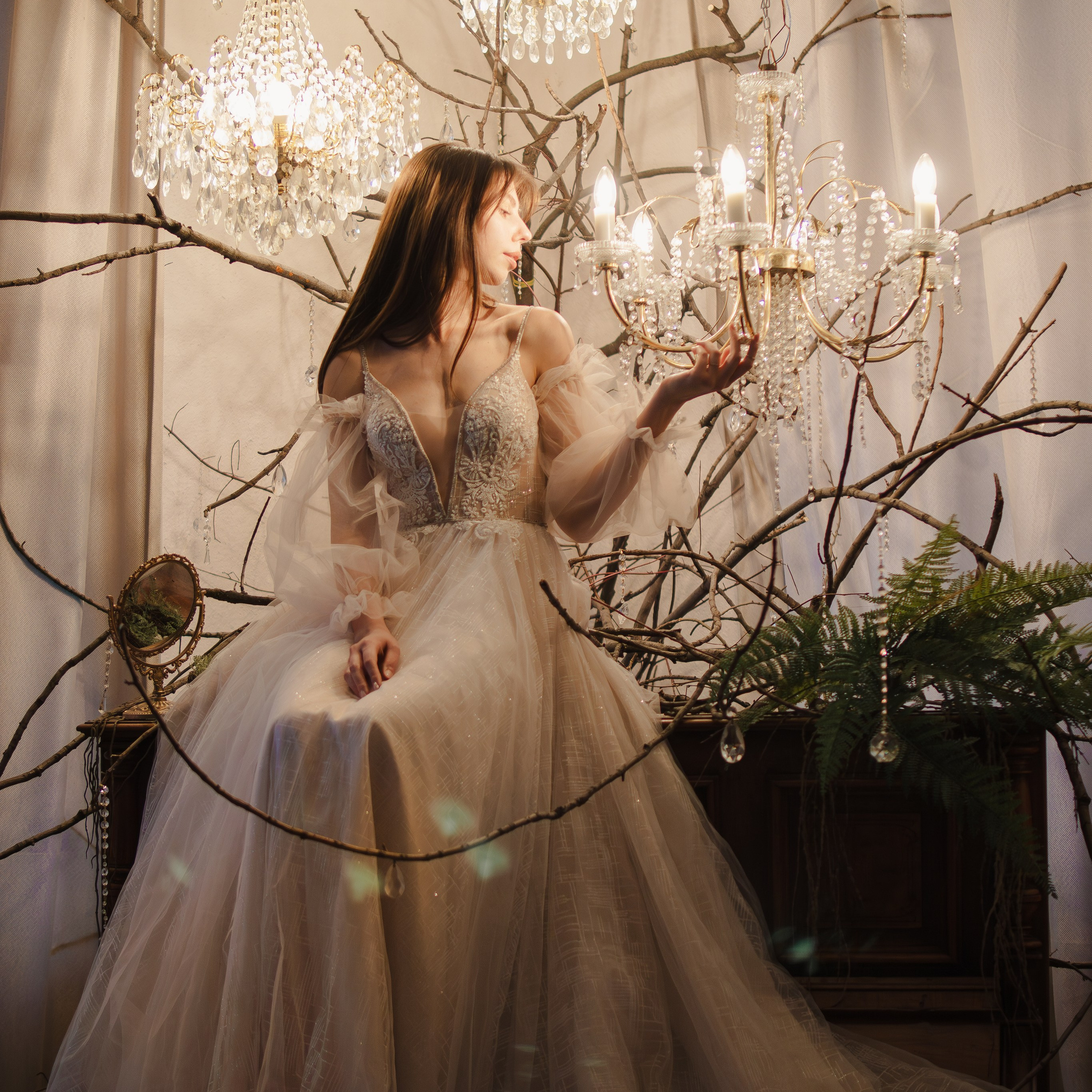 Где живут птички