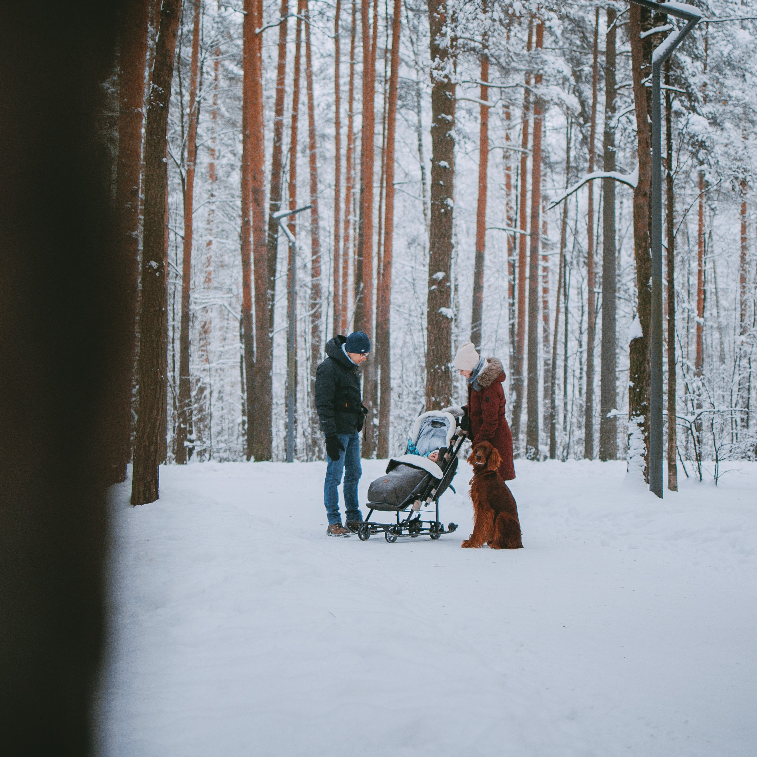 Отзывы. Фотограф-анималист в городе Санкт-Петербург — Сергеева Лилия