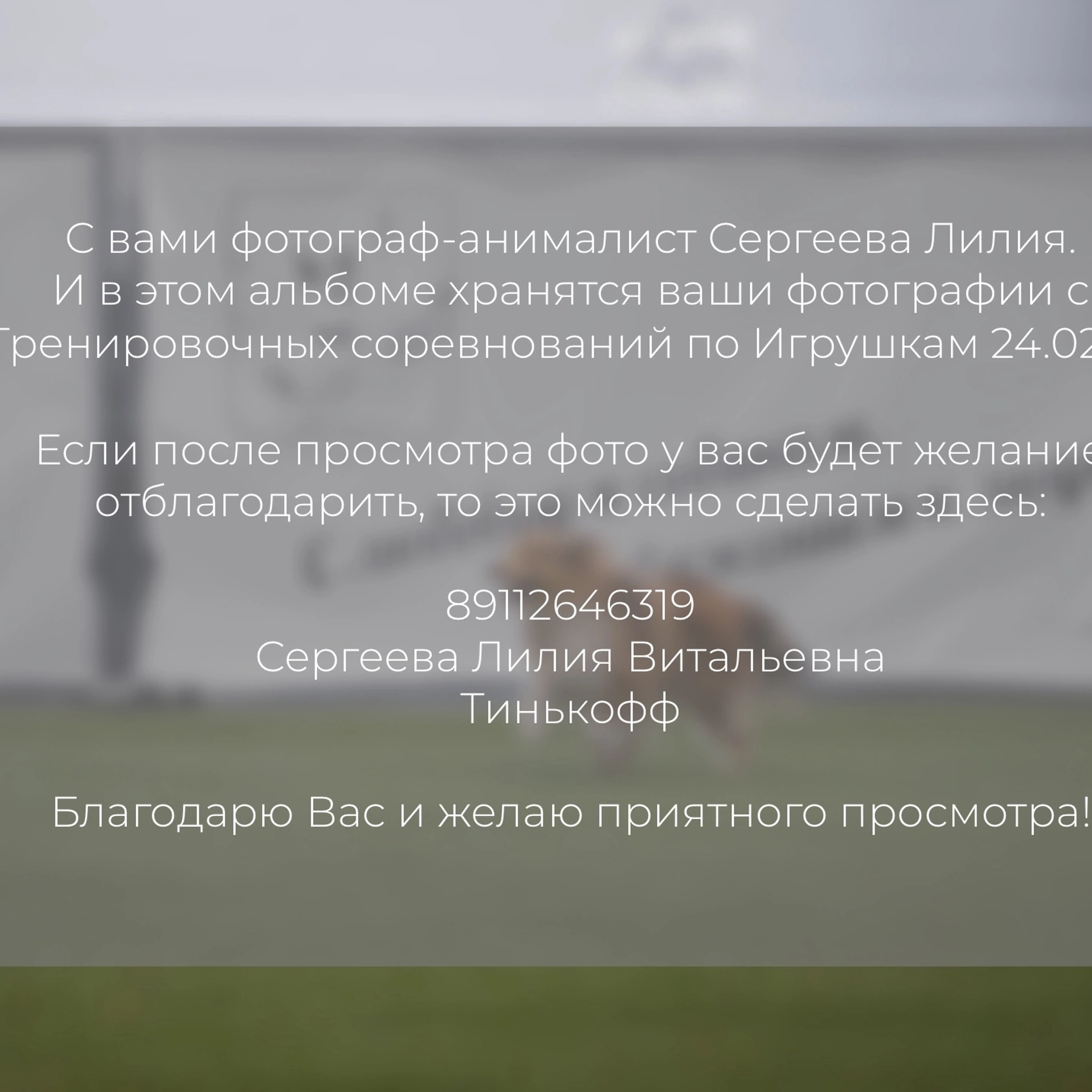 Отзывы. Фотограф-анималист в городе Санкт-Петербург — Сергеева Лилия