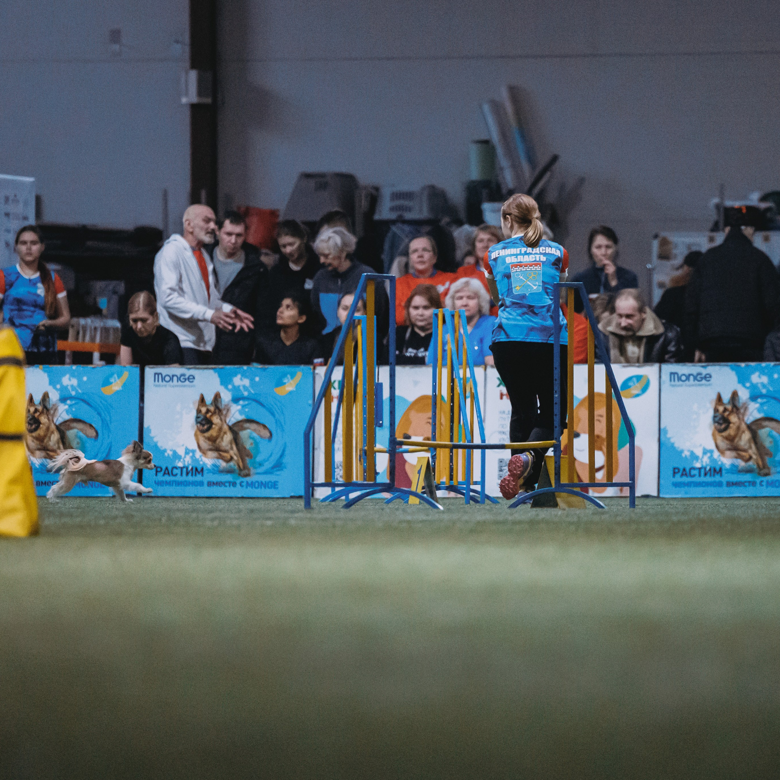 Отзывы. Фотограф-анималист в городе Санкт-Петербург — Сергеева Лилия