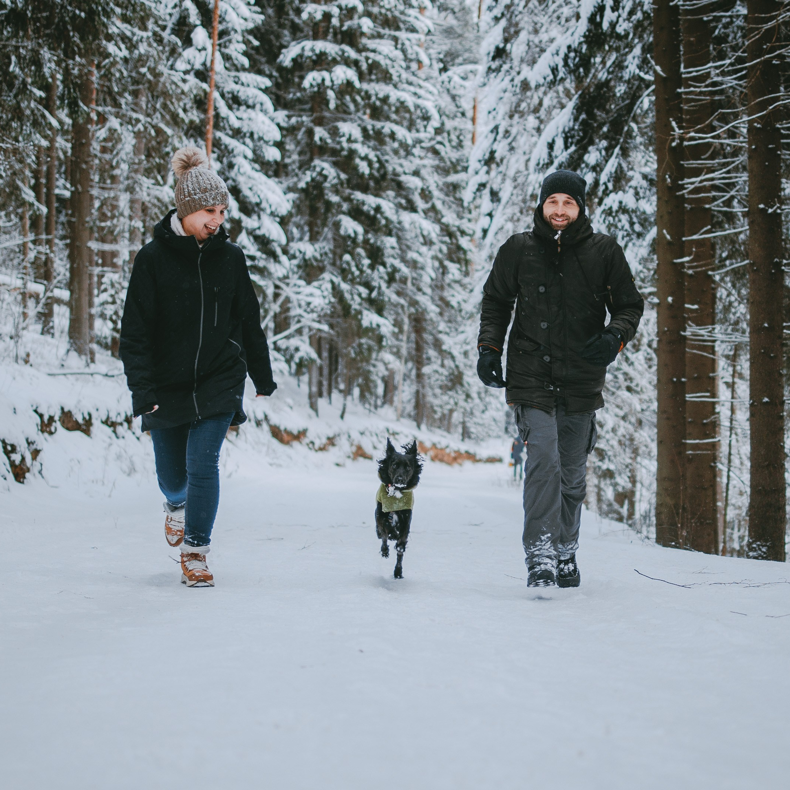 Отзывы. Фотограф-анималист в городе Санкт-Петербург — Сергеева Лилия