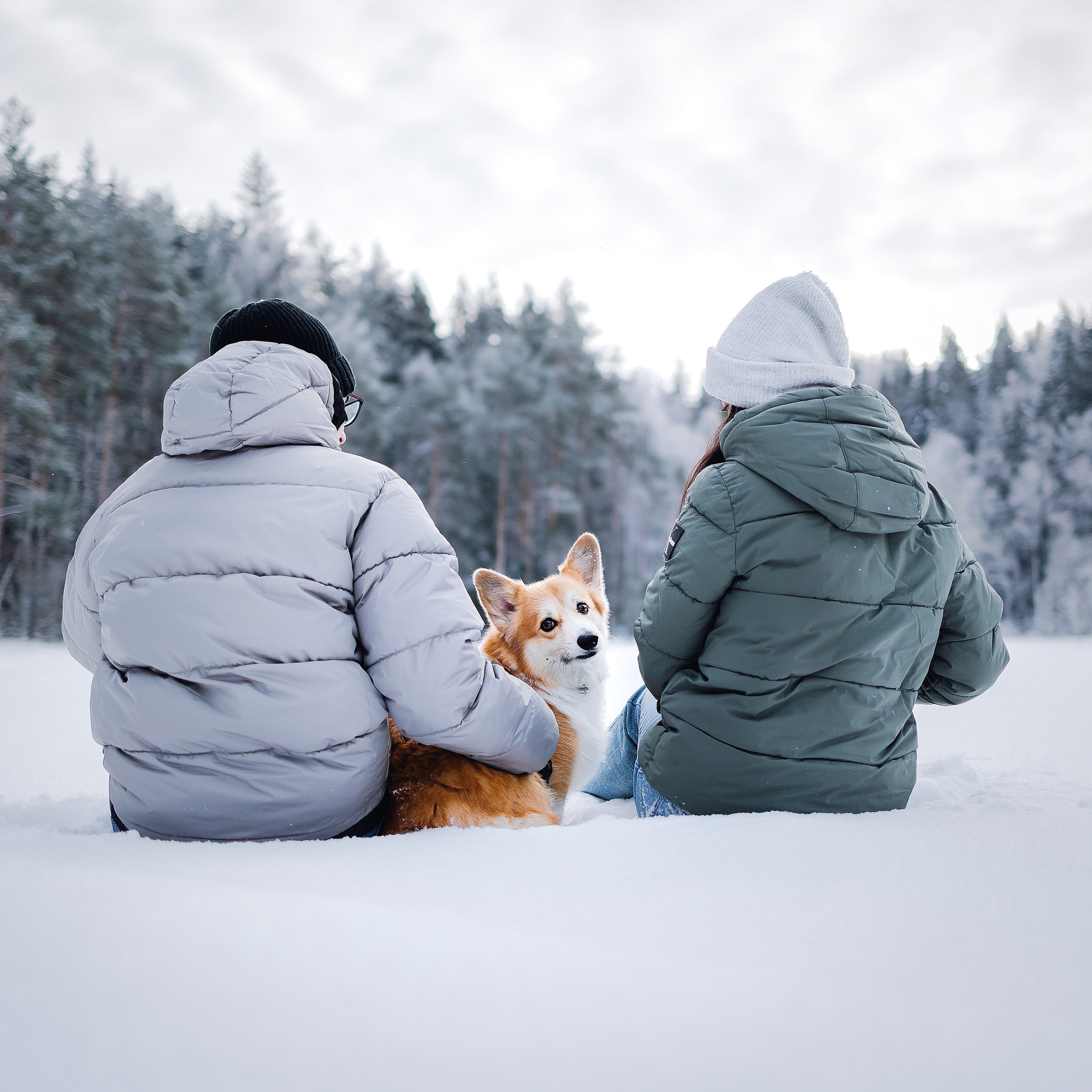 Отзывы. Фотограф-анималист в городе Санкт-Петербург — Сергеева Лилия