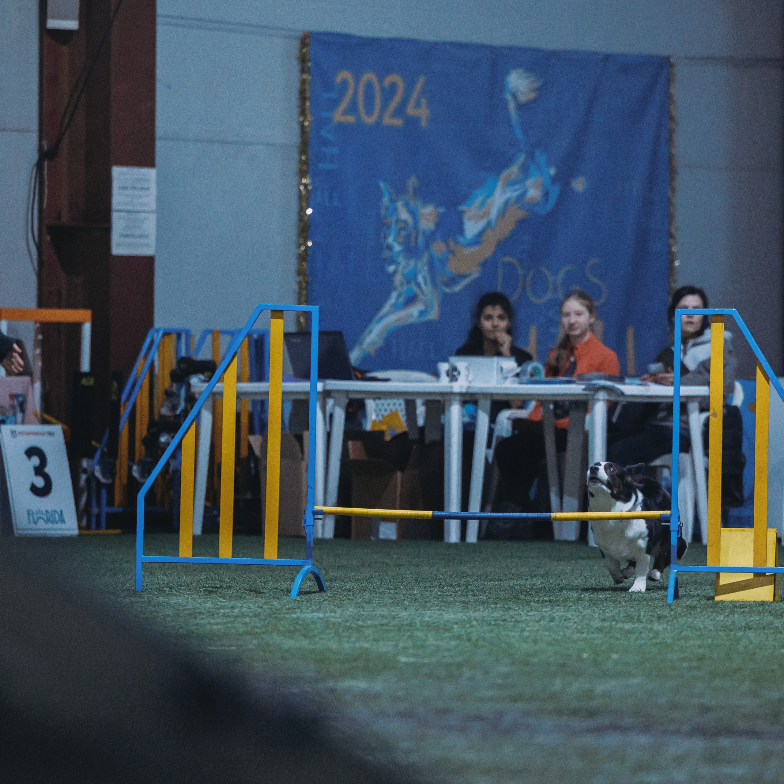 Отзывы. Фотограф-анималист в городе Санкт-Петербург — Сергеева Лилия