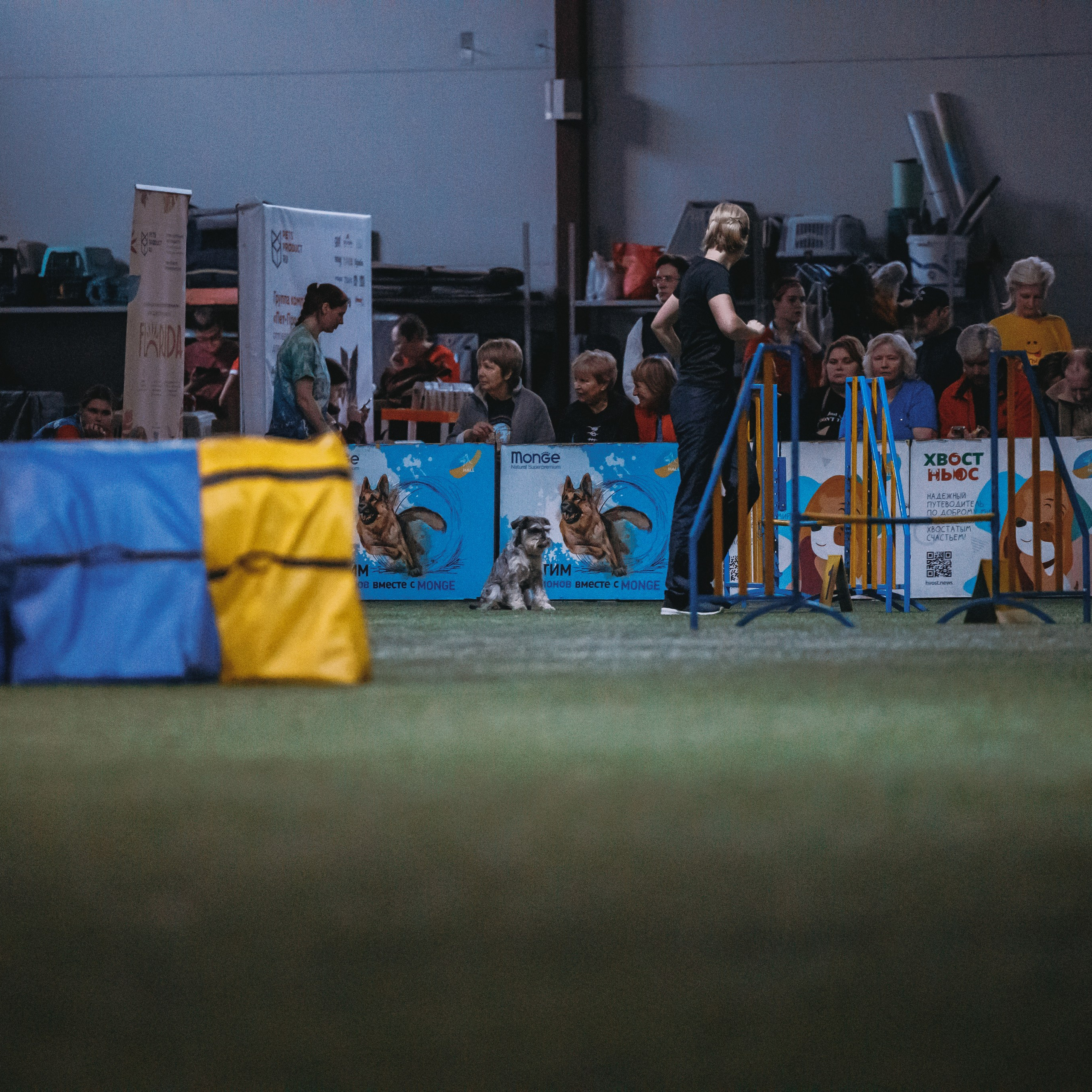 Отзывы. Фотограф-анималист в городе Санкт-Петербург — Сергеева Лилия