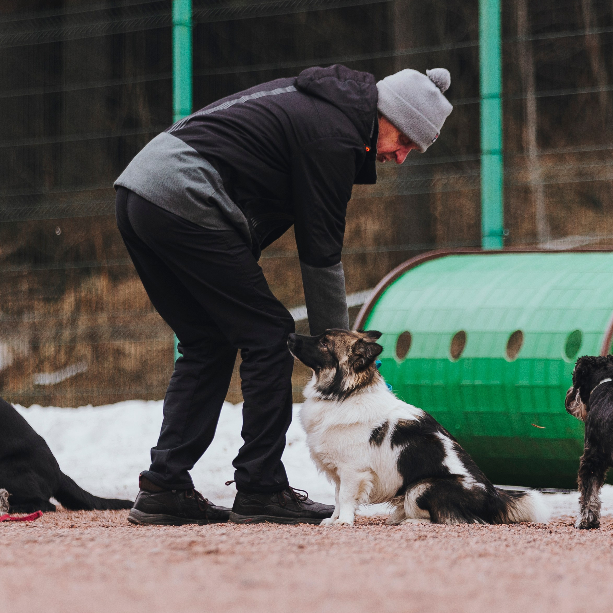 Отзывы. Фотограф-анималист в городе Санкт-Петербург — Сергеева Лилия