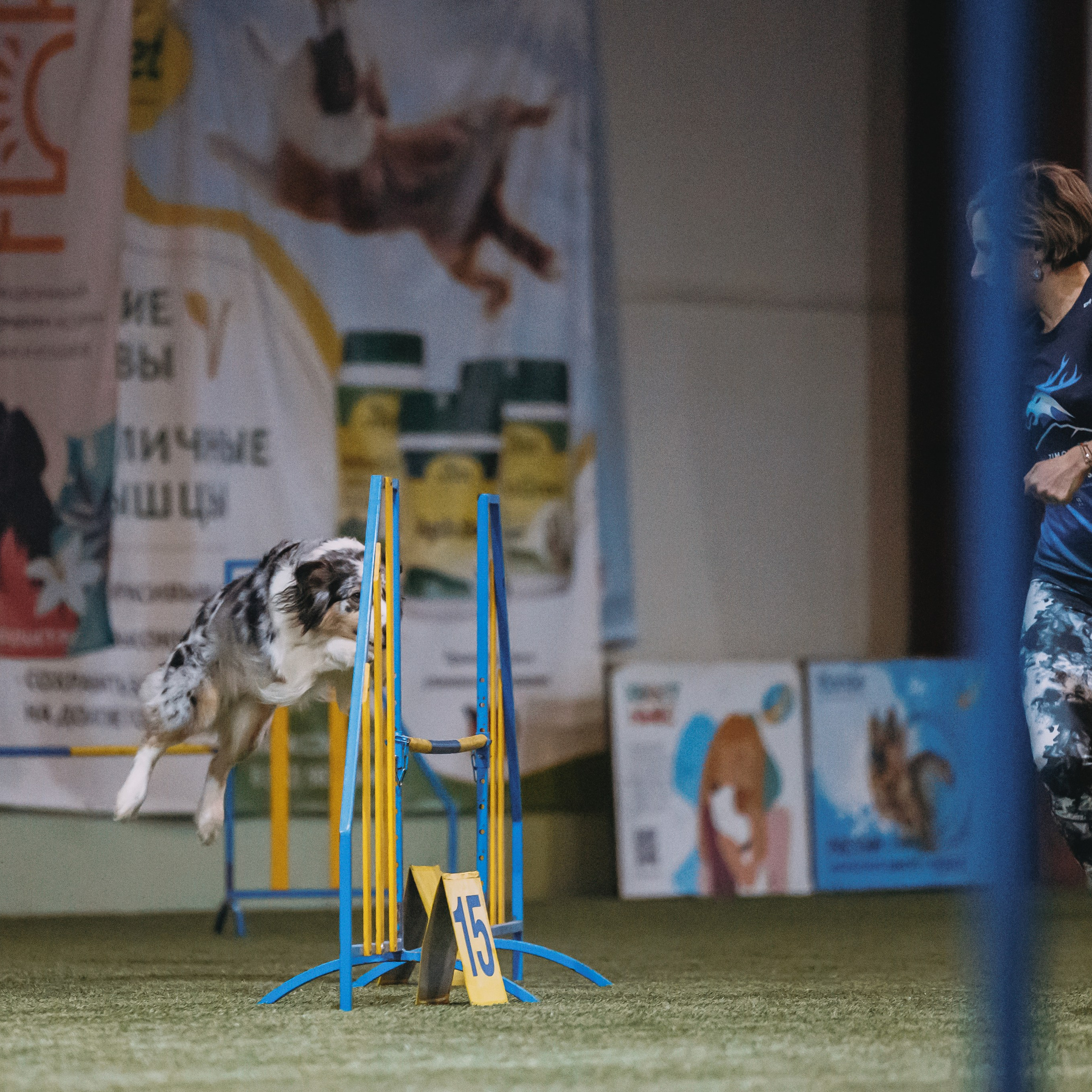 Отзывы. Фотограф-анималист в городе Санкт-Петербург — Сергеева Лилия