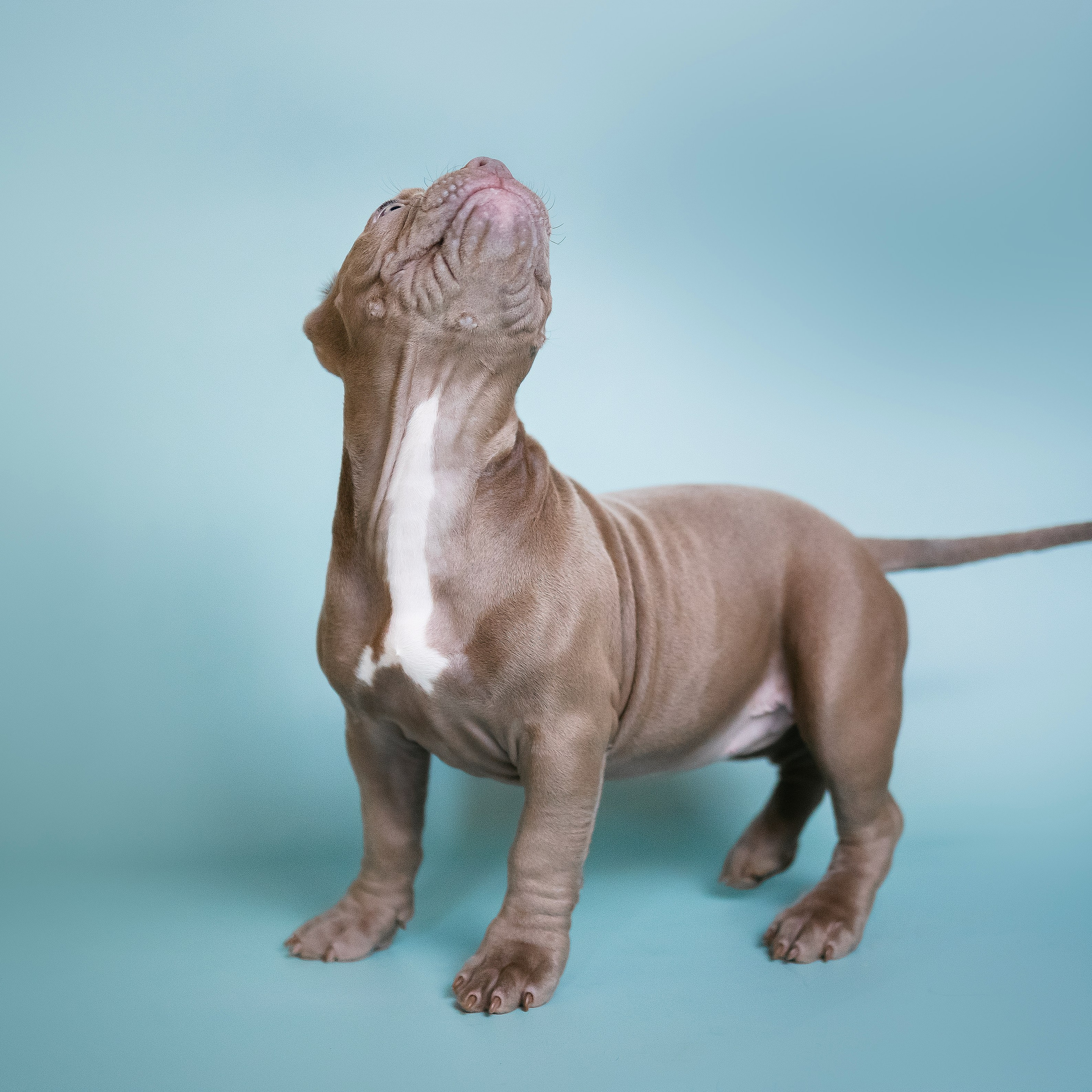 Отзывы. Фотограф-анималист в городе Санкт-Петербург — Сергеева Лилия