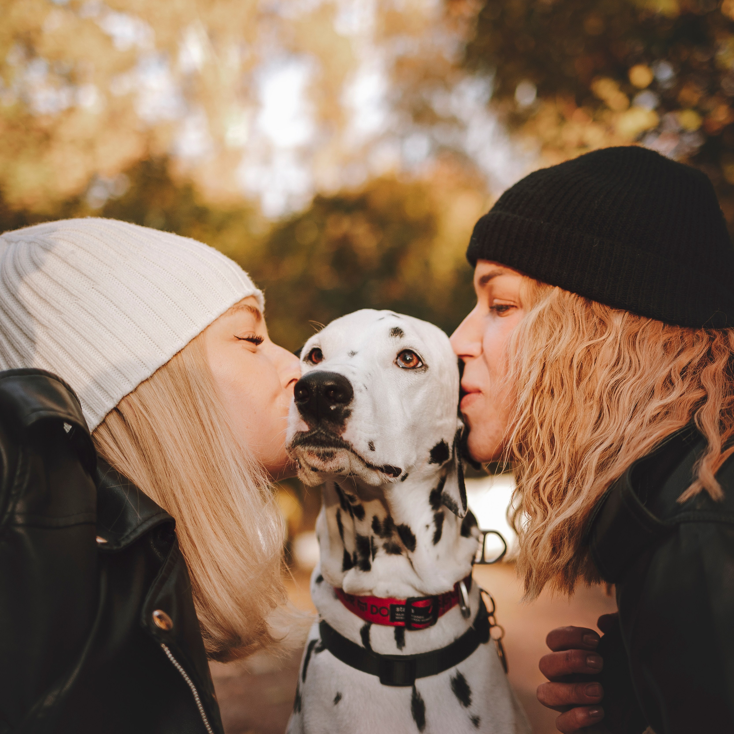 Отзывы. Фотограф-анималист в городе Санкт-Петербург — Сергеева Лилия