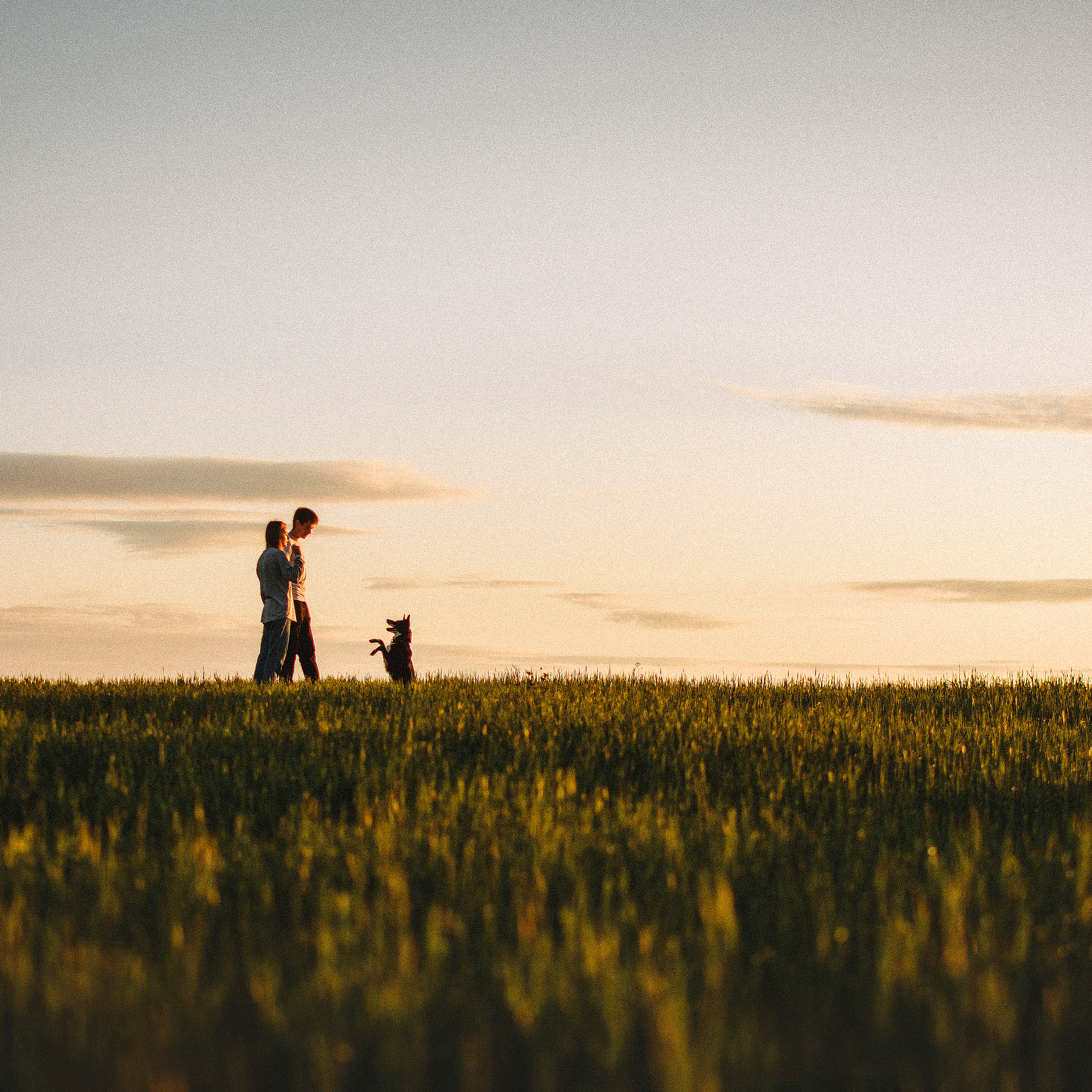 Отзывы. Фотограф-анималист в городе Санкт-Петербург — Сергеева Лилия