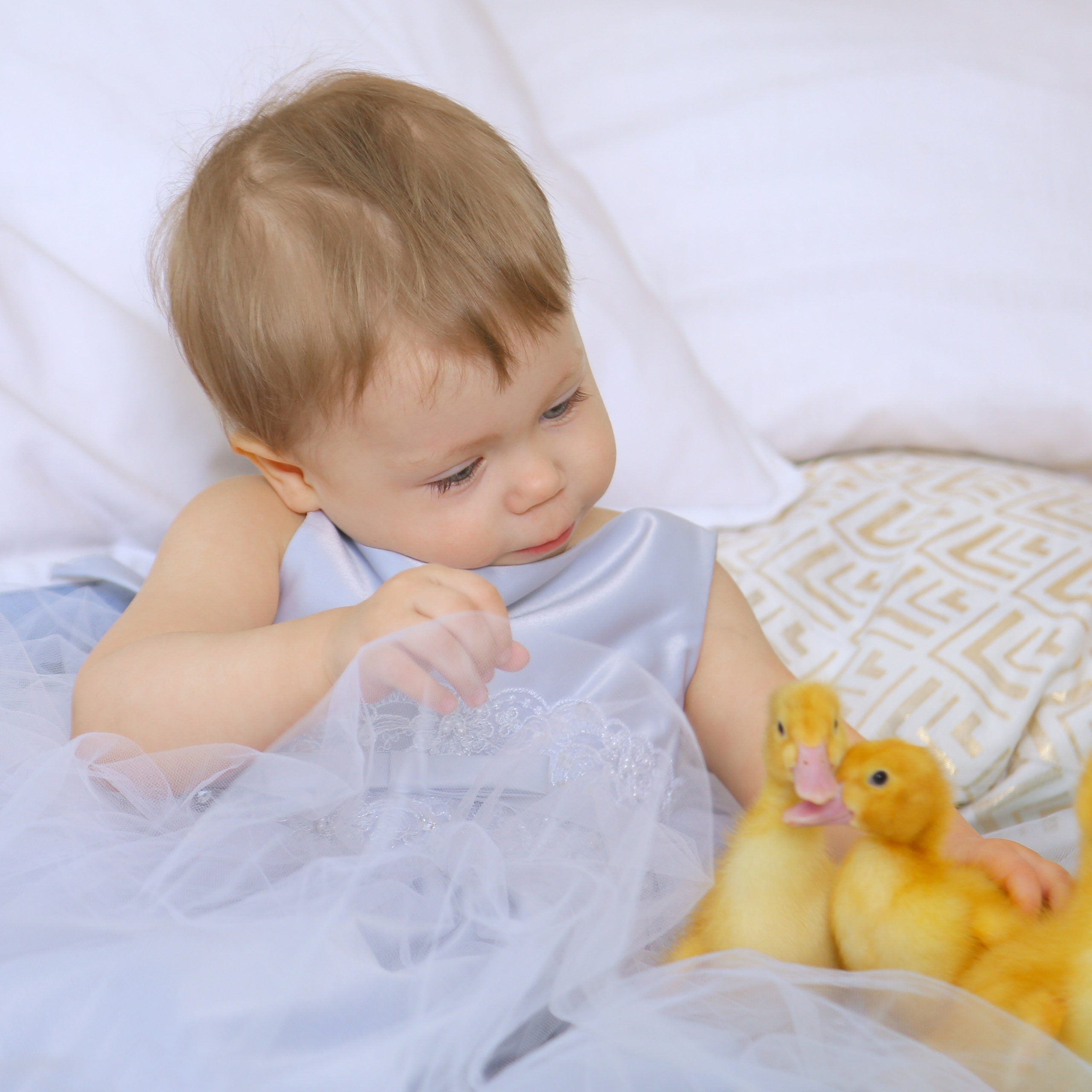 Годовасия. Детский, семейный и свадебный фотограф в Москве Екатерина Морозова