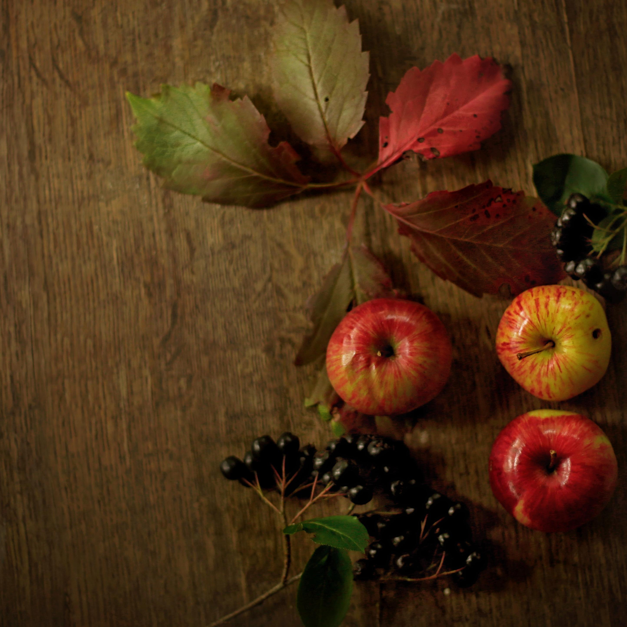 Фуд фото. Детский, семейный и свадебный фотограф в Москве Екатерина Морозова