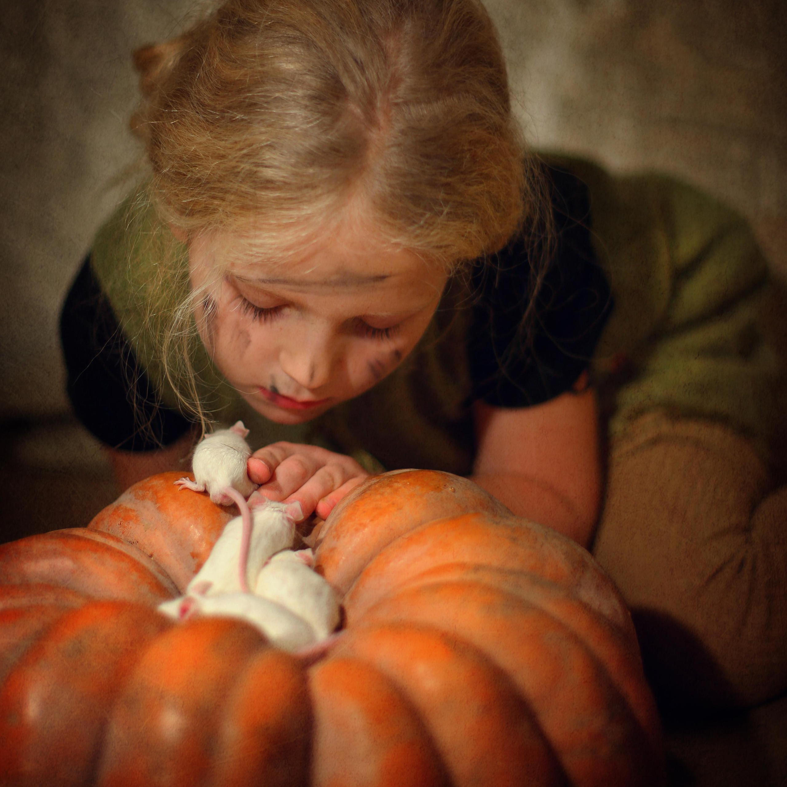 Костюмированная фотосессия. Детский, семейный и свадебный фотограф в Москве Екатерина Морозова