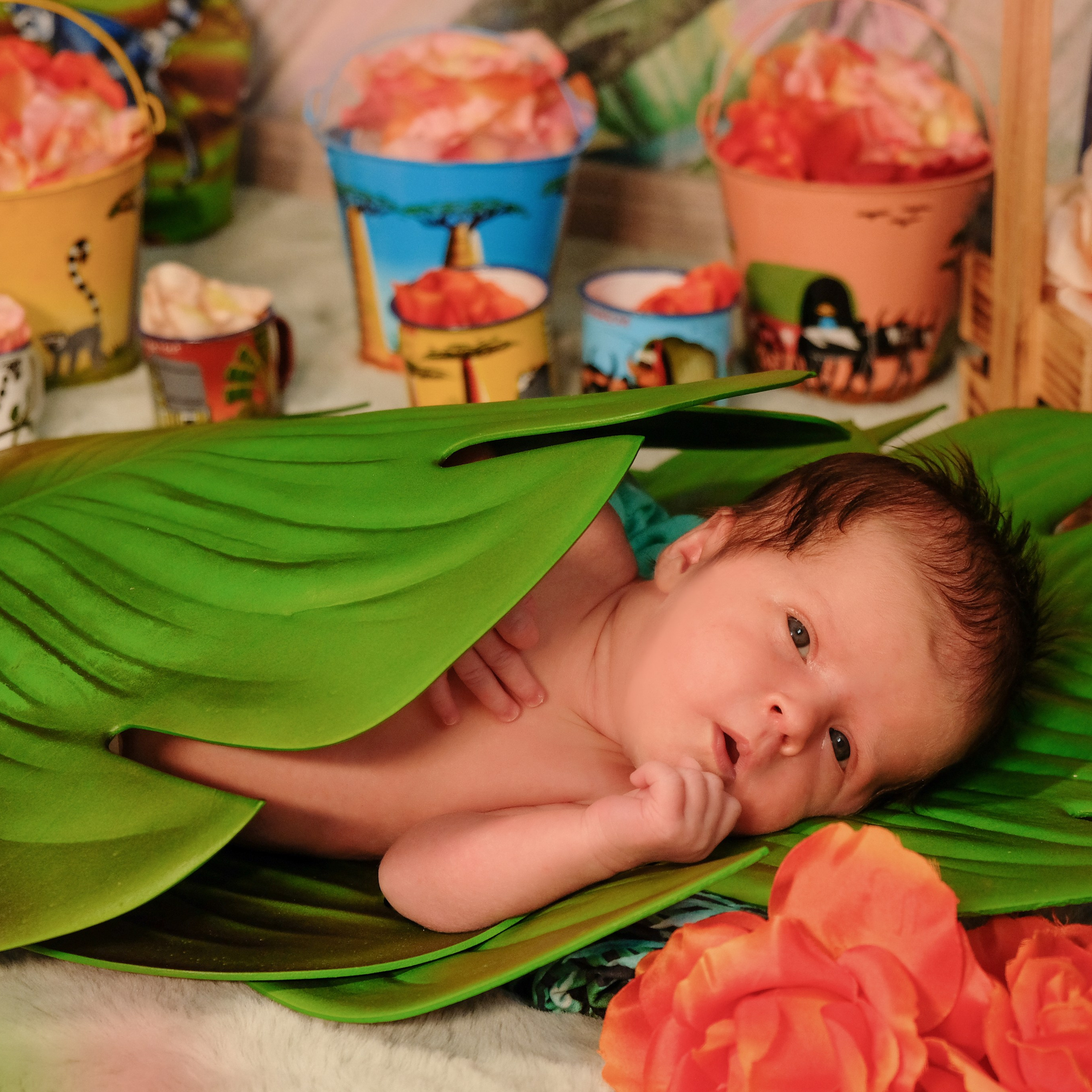 Отзывы. Детский, семейный и свадебный фотограф в Москве Екатерина Морозова