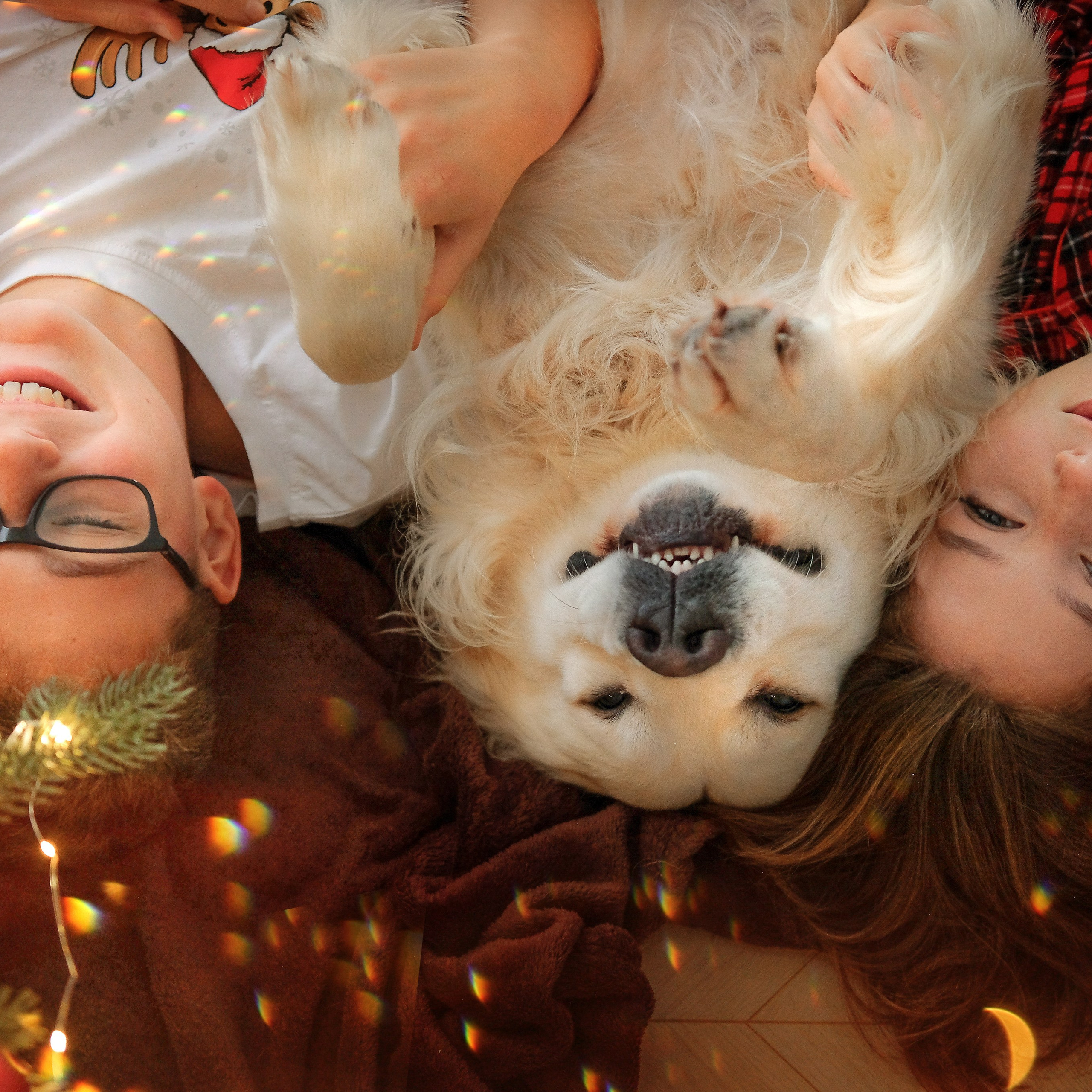 Детская фотосессия. Детский, семейный и свадебный фотограф в Москве Екатерина Морозова