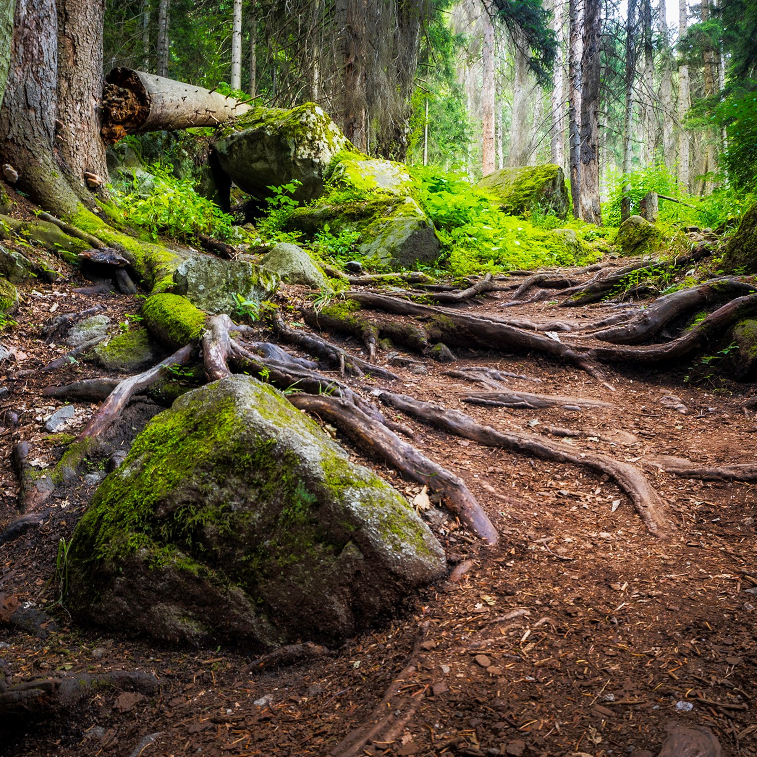 Кондкуи. Фотограф Артём Парамонов