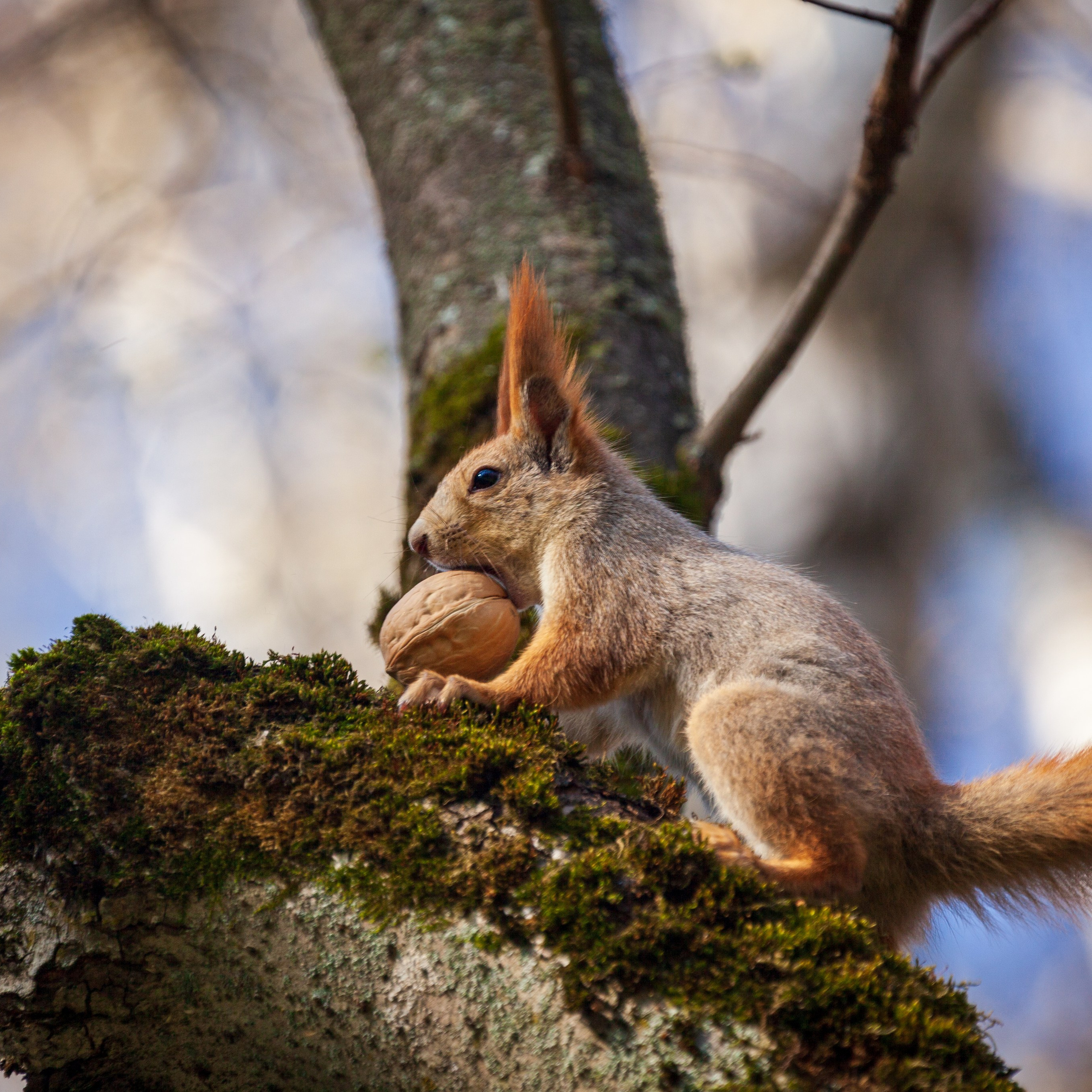 Кондкуи. Фотограф Артём Парамонов