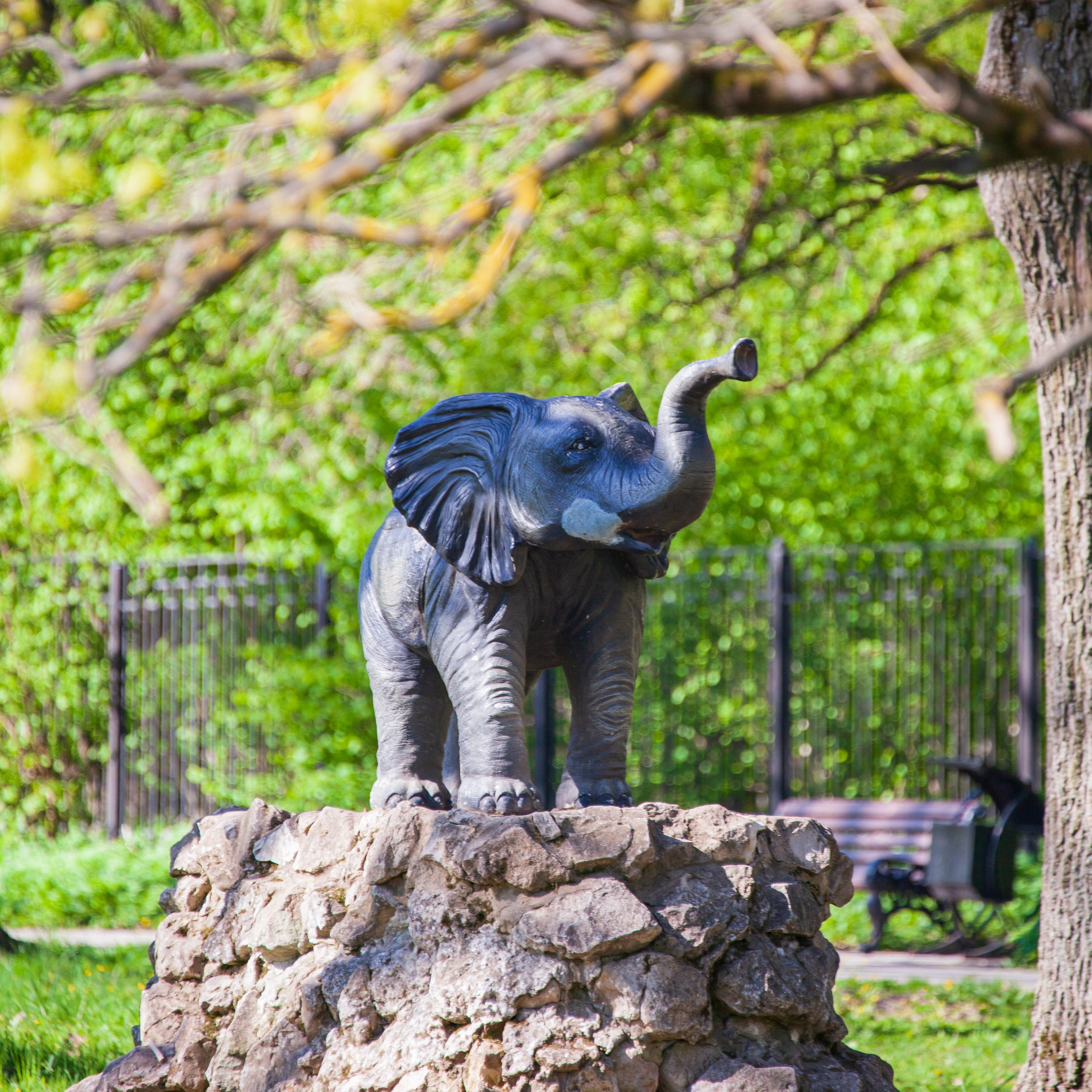 Кондкуи. Фотограф Артём Парамонов