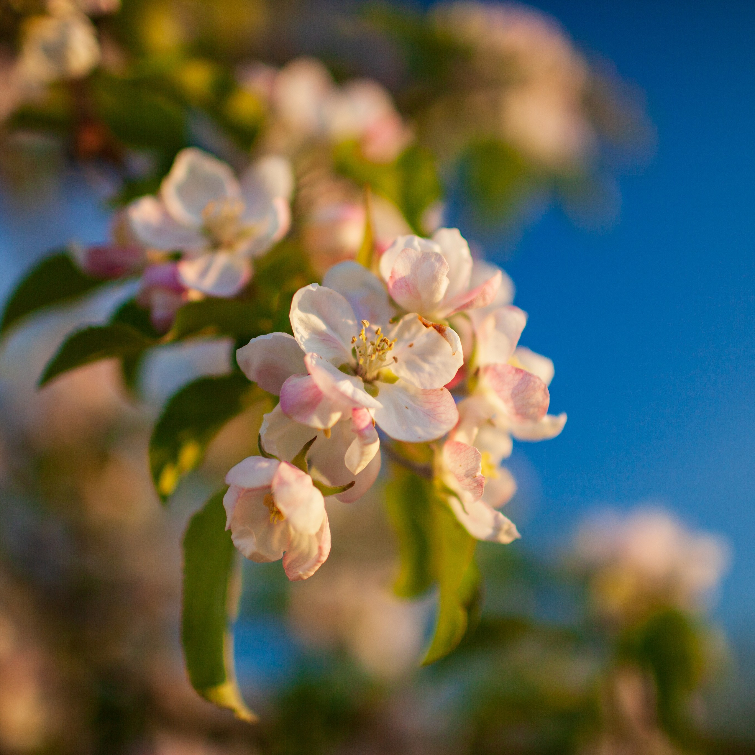 Кондкуи. Фотограф Артём Парамонов