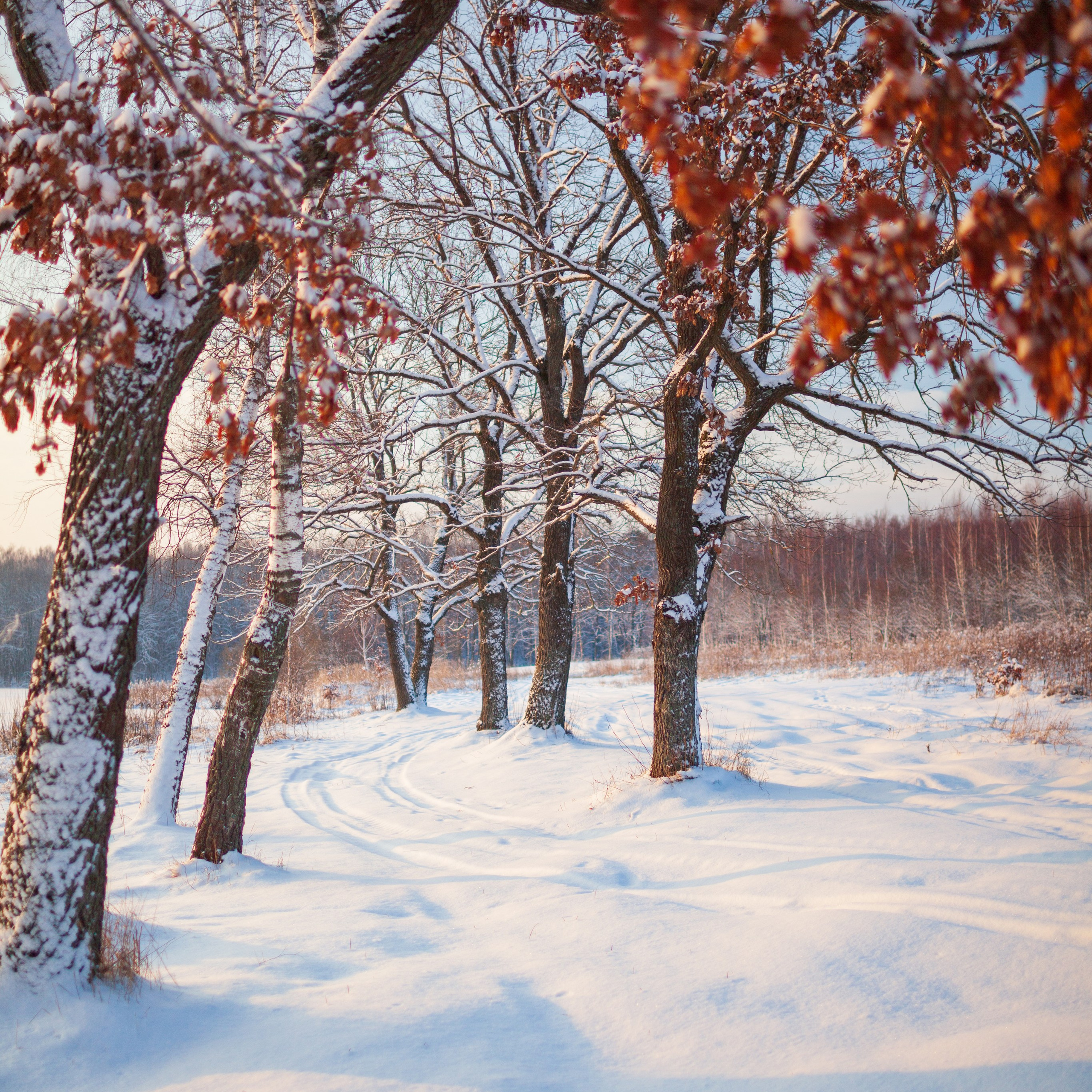 Блог. Фотограф Артём Парамонов