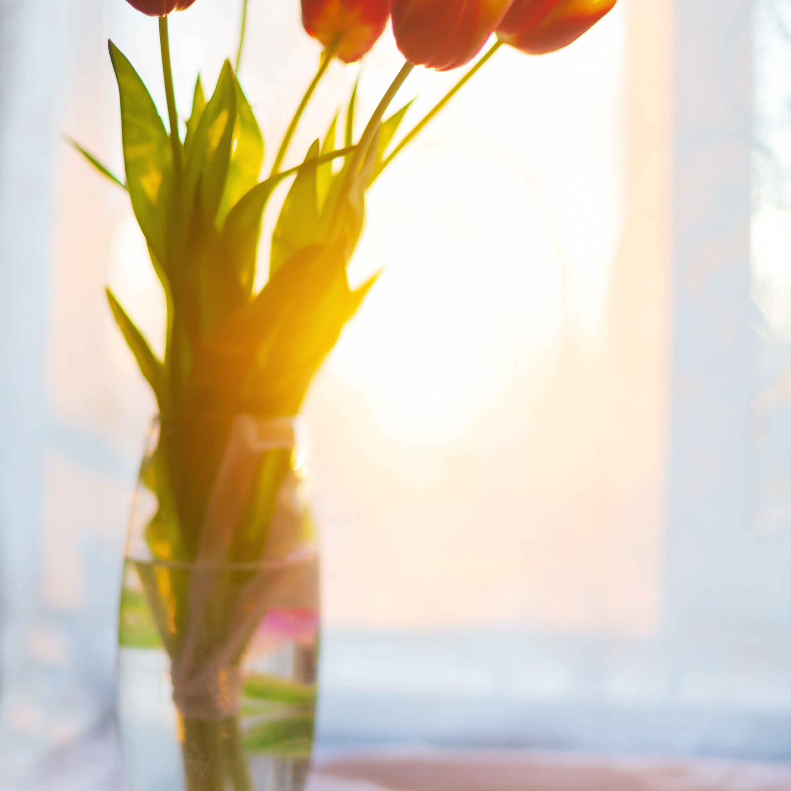 Блог. Фотограф Артём Парамонов