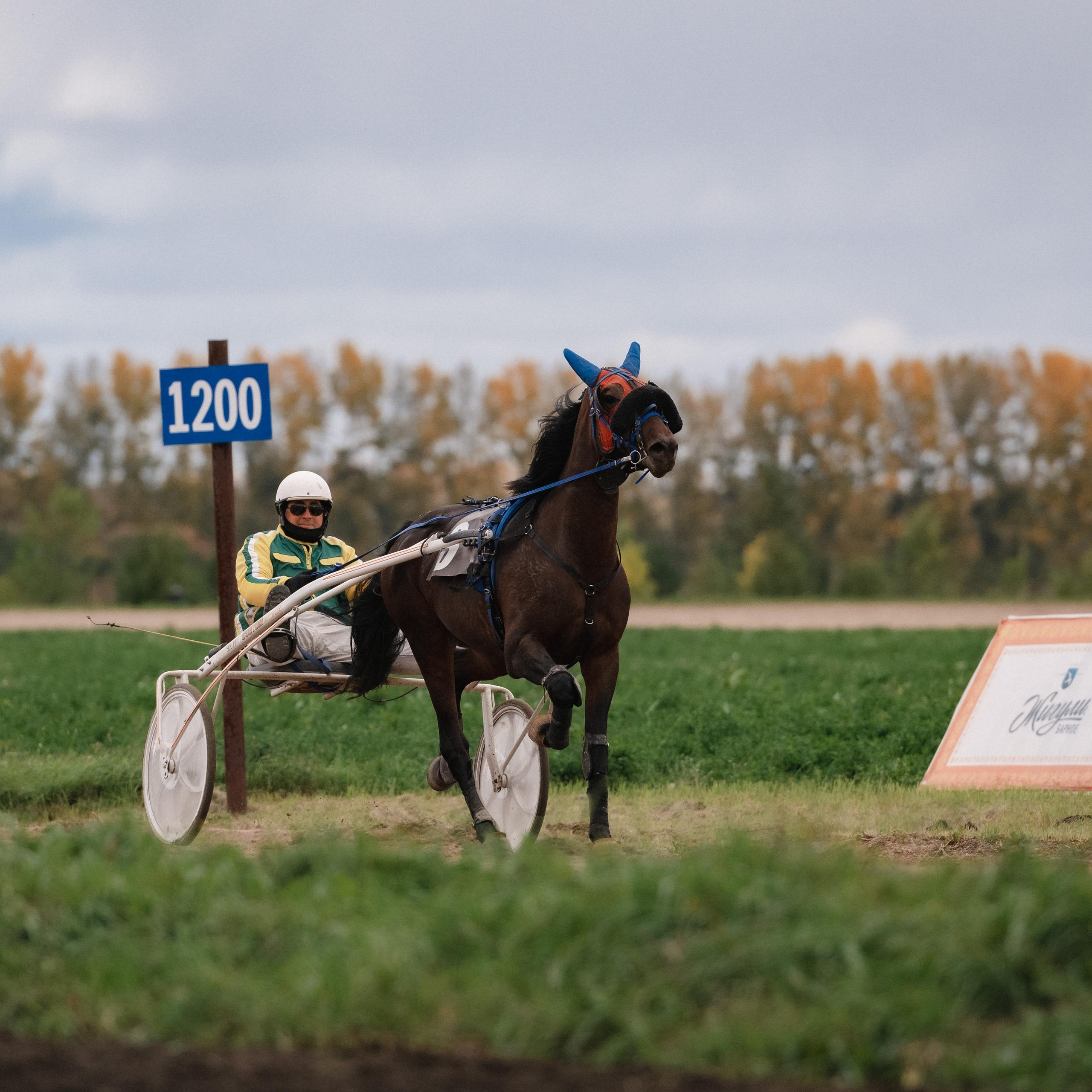 Отзывы о фотографе. Сергей Богомолов. Свадебный и семейный фотограф