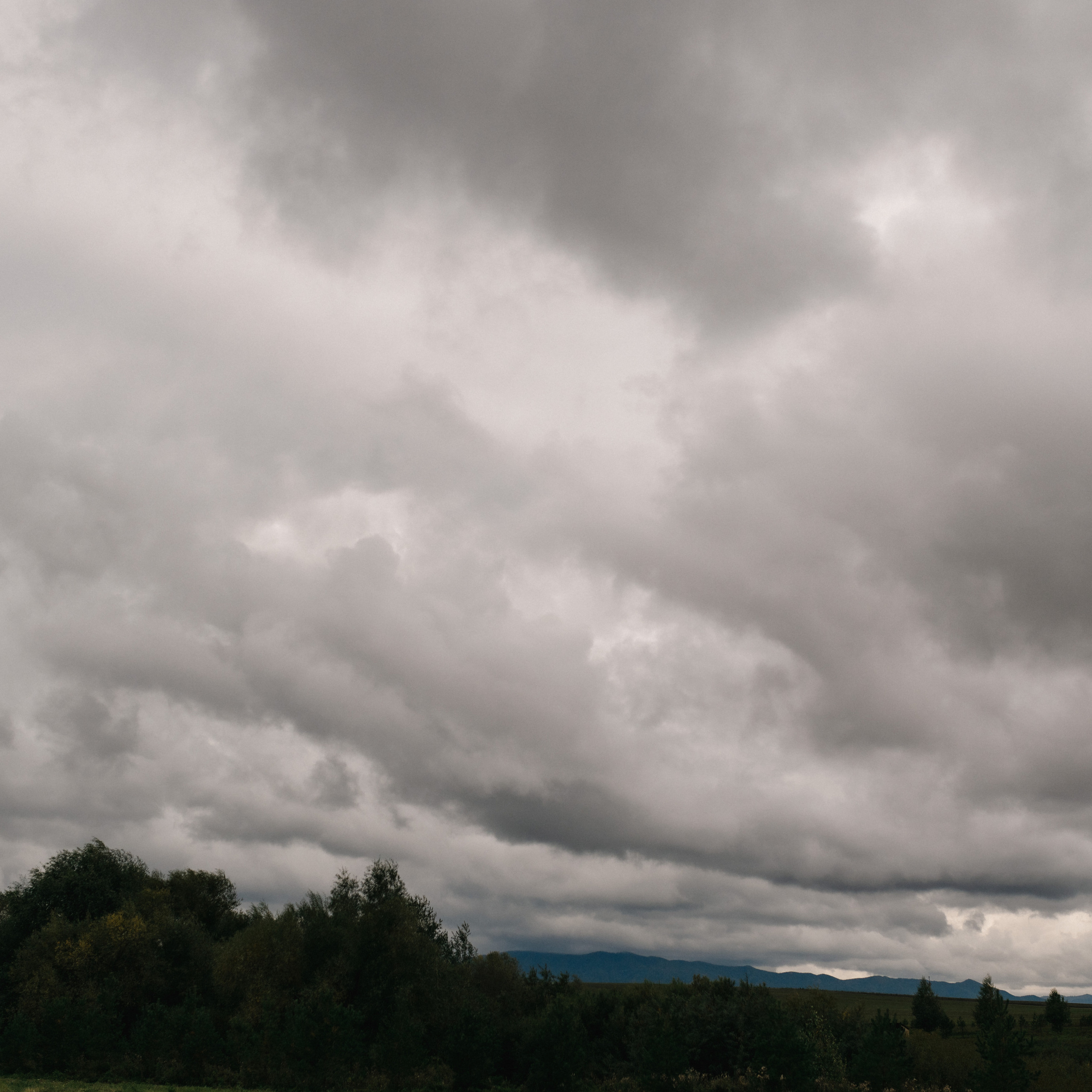 Отзывы о фотографе. Сергей Богомолов. Свадебный и семейный фотограф