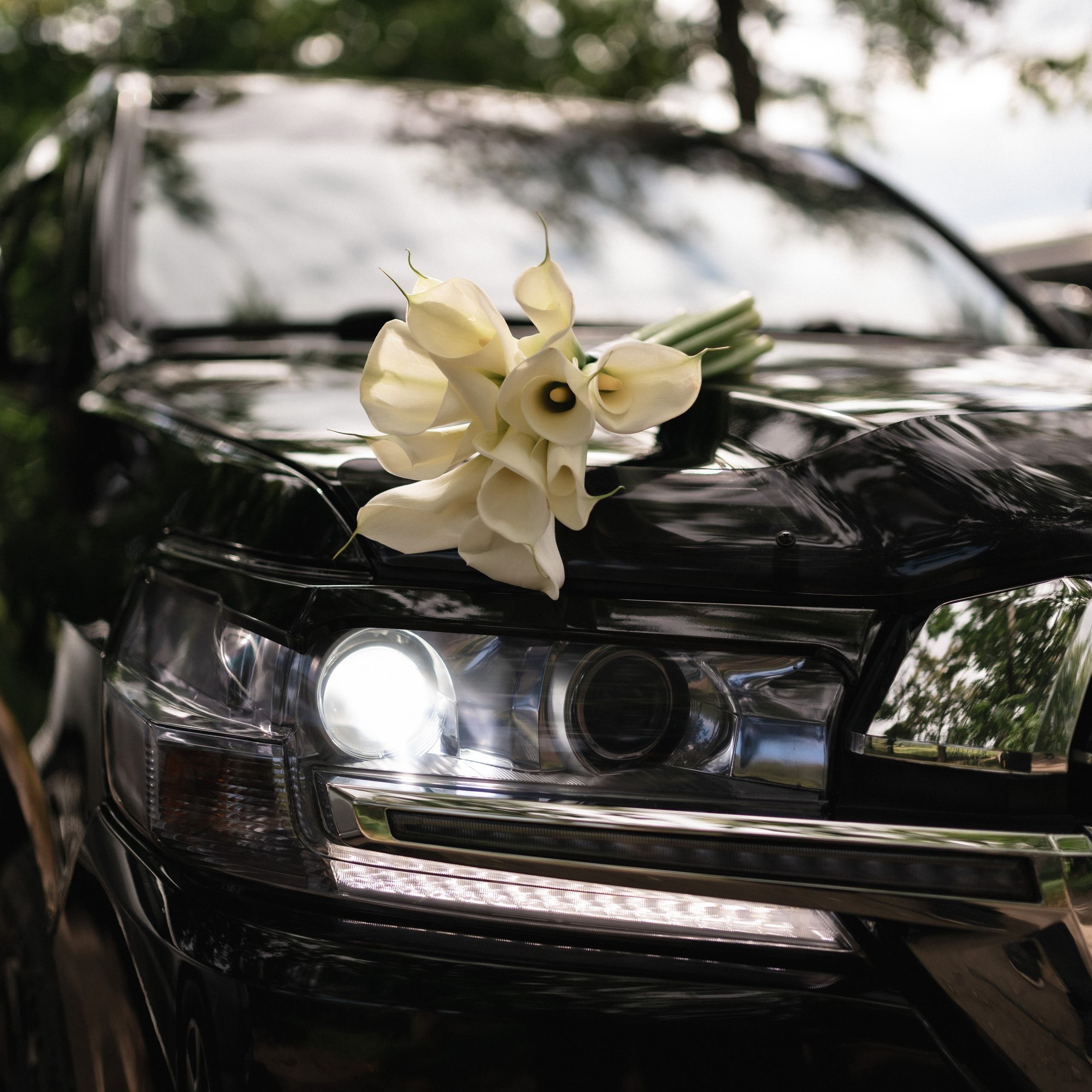 Отзывы о фотографе. Сергей Богомолов. Свадебный и семейный фотограф