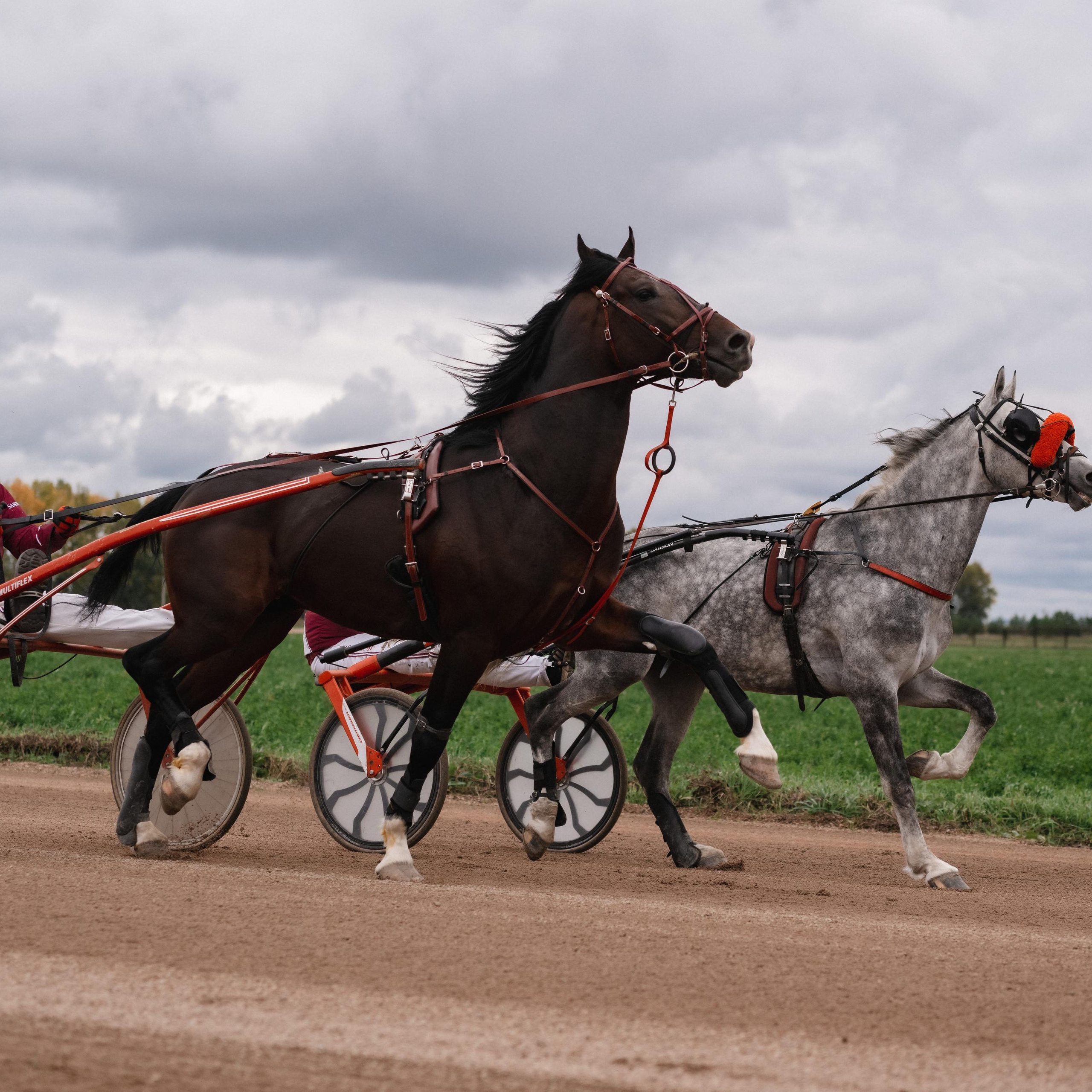 Отзывы о фотографе. Сергей Богомолов. Свадебный и семейный фотограф