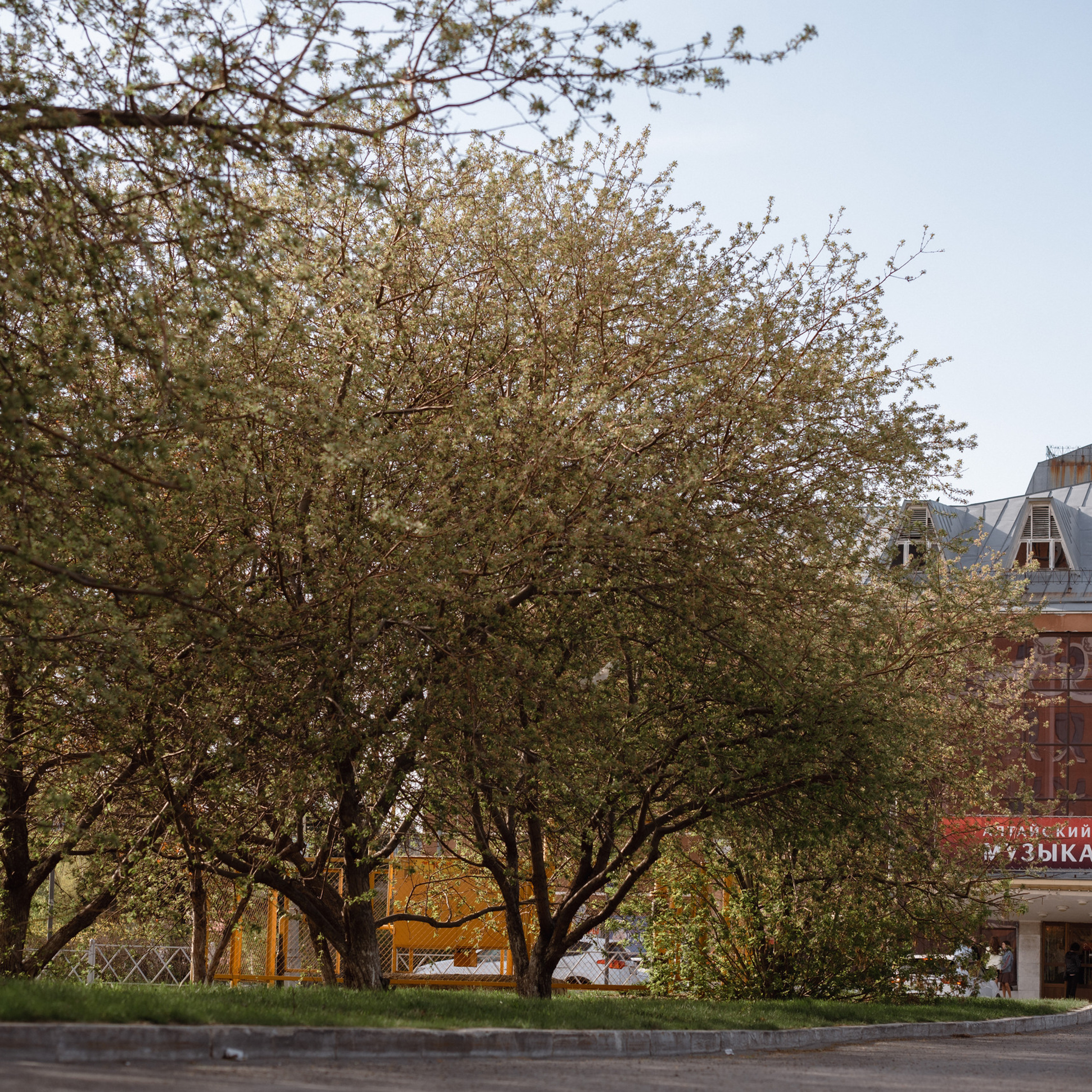 Отзывы о фотографе. Сергей Богомолов. Свадебный и семейный фотограф