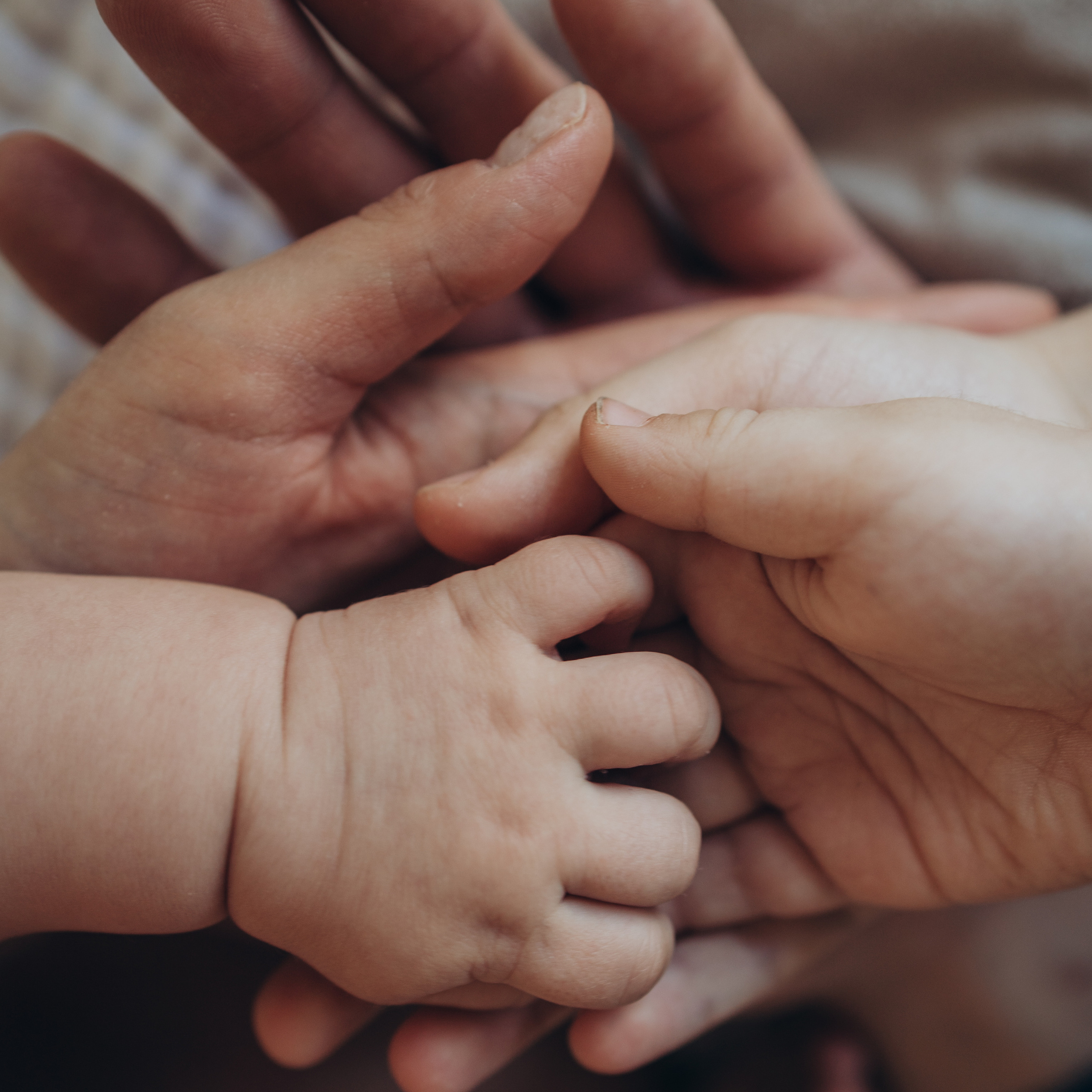 Отзывы. Семейный фотограф в Москве Елена Гильманова