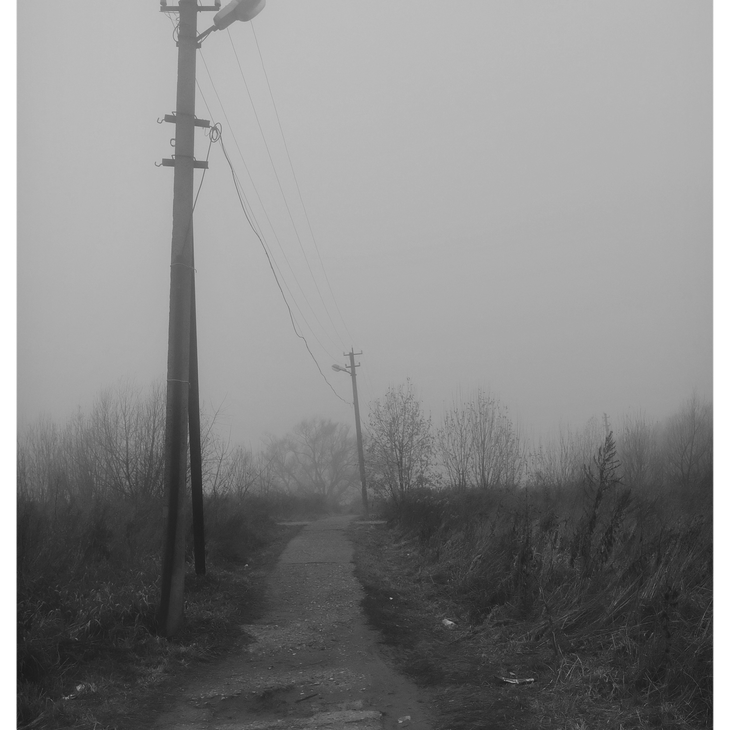 Сквозь туман