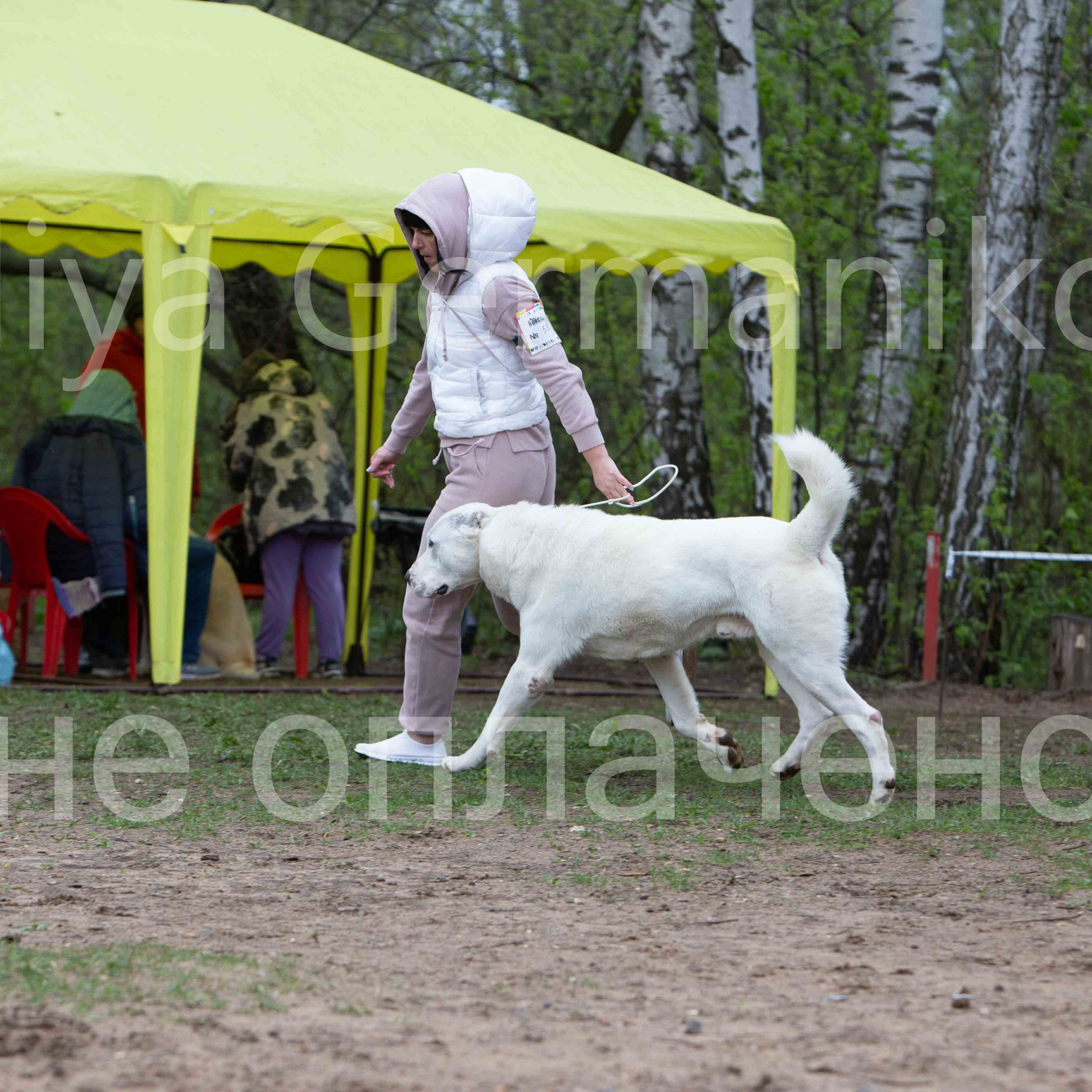 Отзывы. Фотограф-анималист Юлия Германика