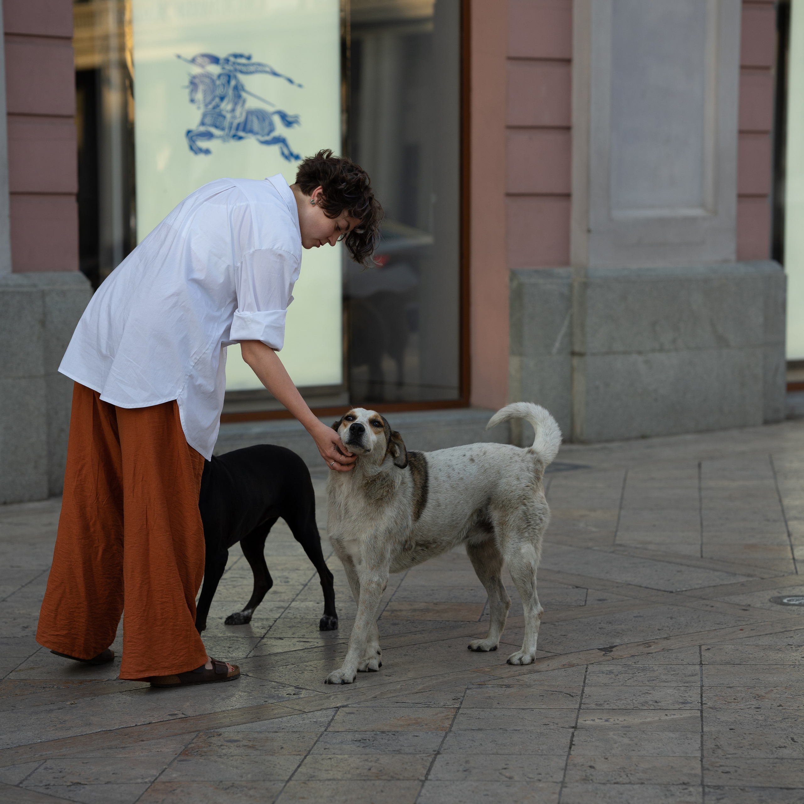 Reviews. Марковы: фото, видео, кино и книги