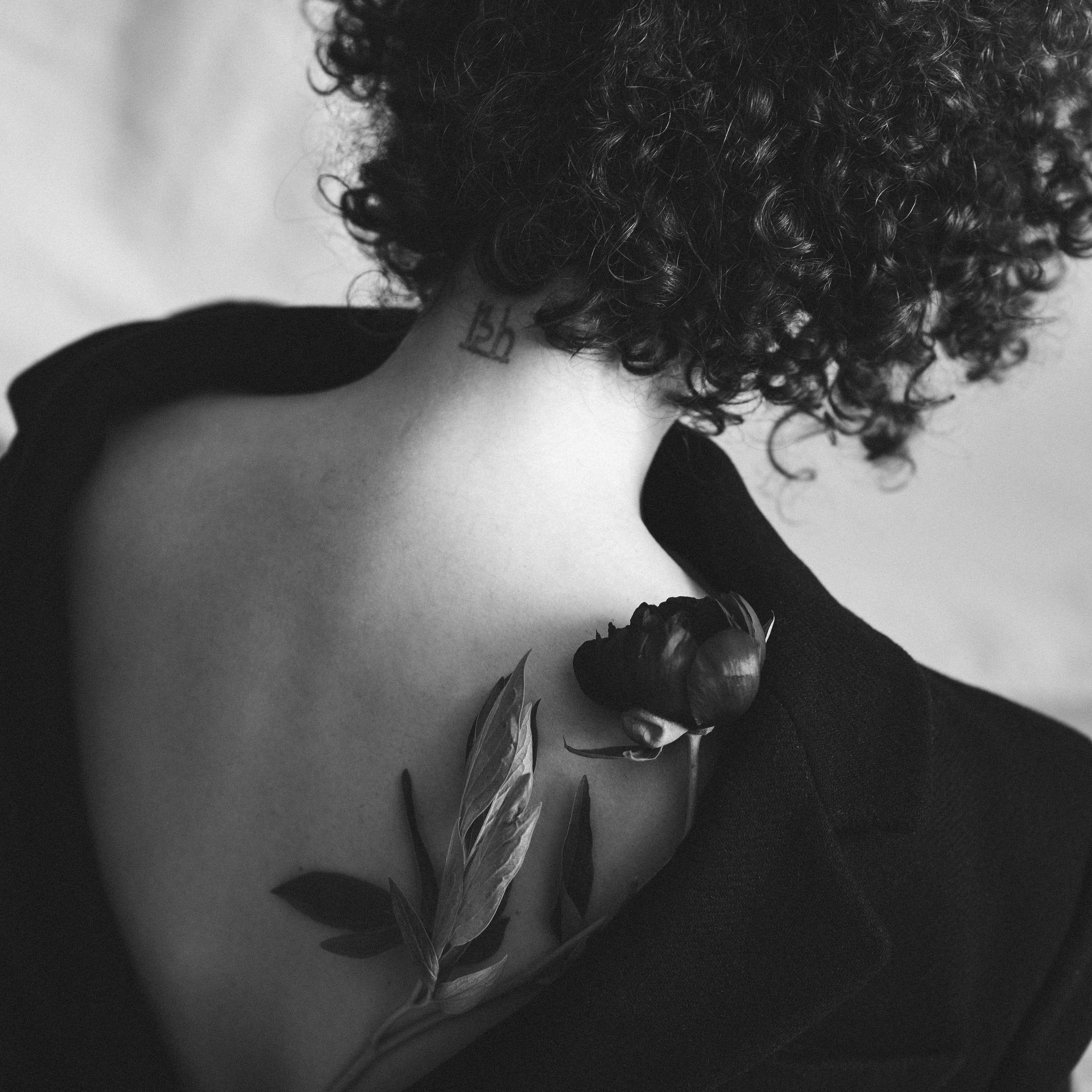 …история о цветах