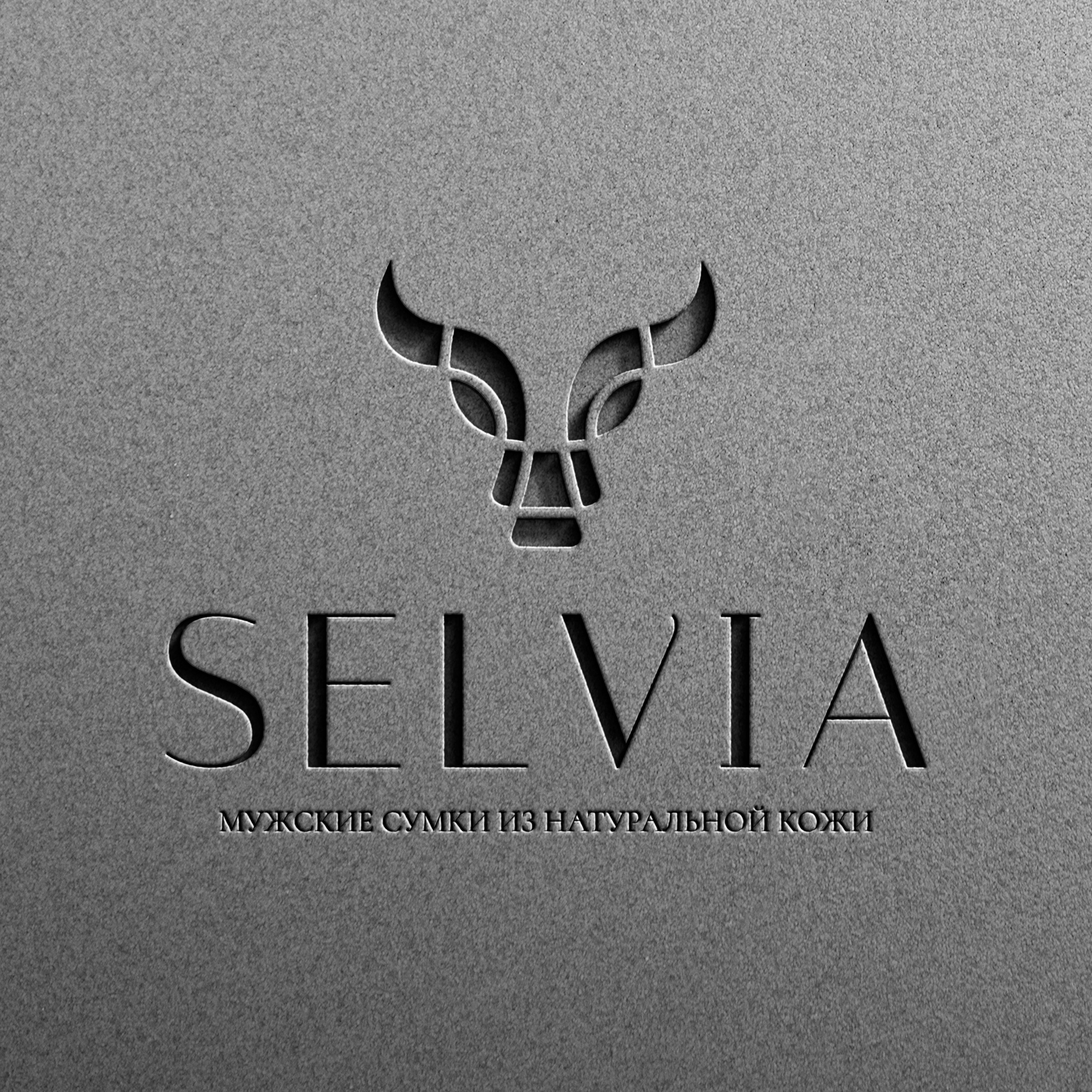 SELVIA | Мужские сумки из натуральной кожи г. Москва