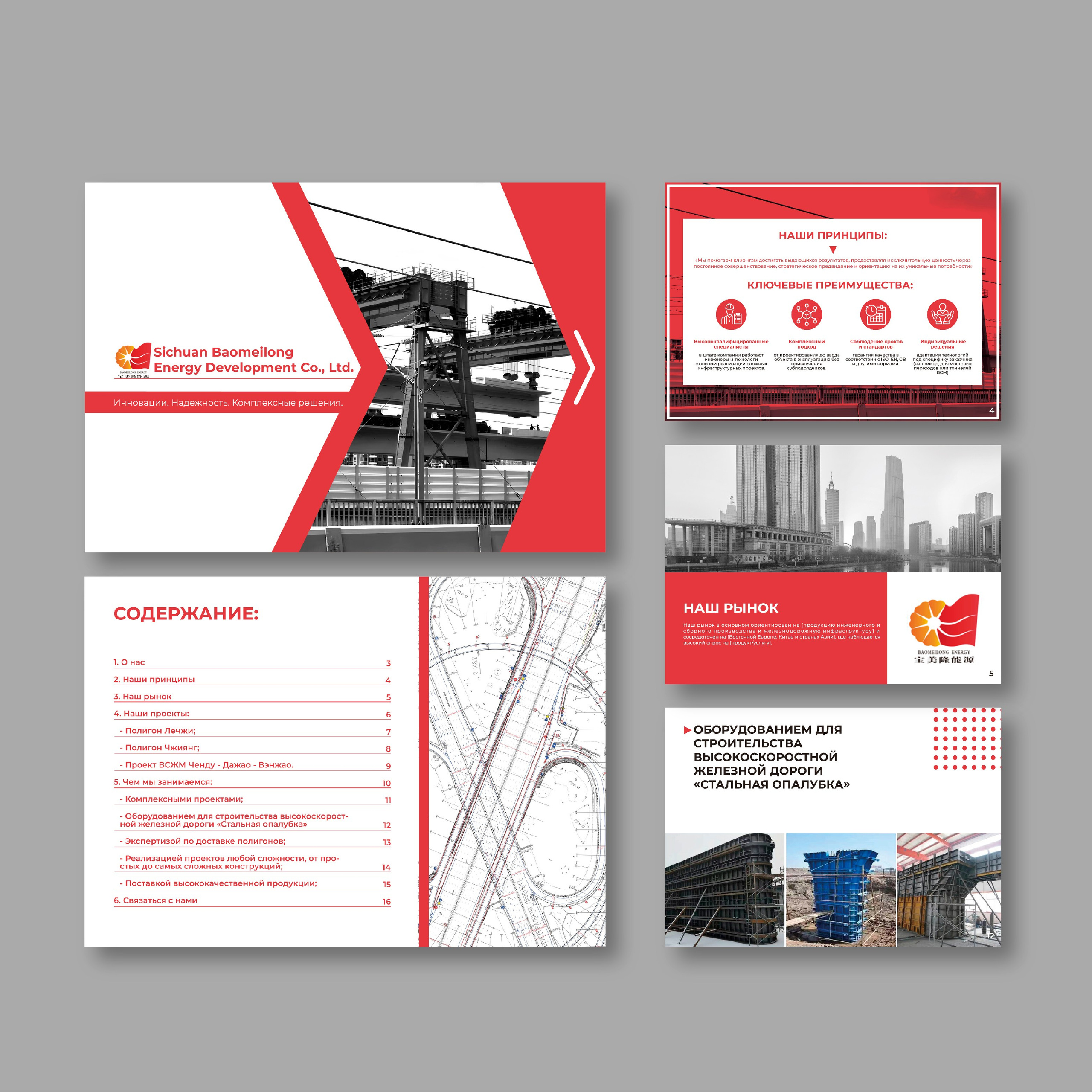 Sichuan Baomeilong | Презентация компании