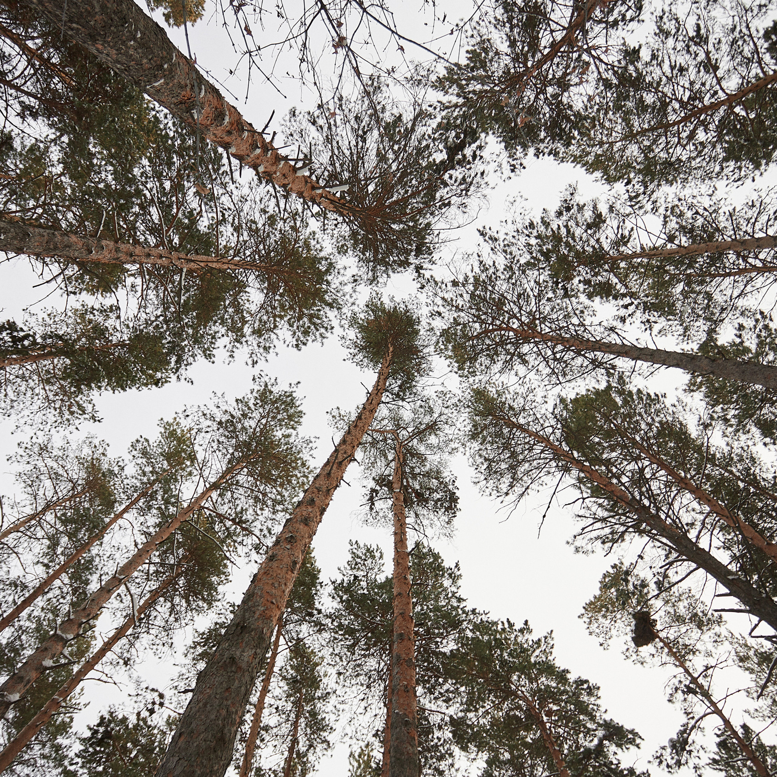 Фотограф Екатерина Соколова отзывы. Продающий контент для маркетплейсов и e-commerce «под ключ»